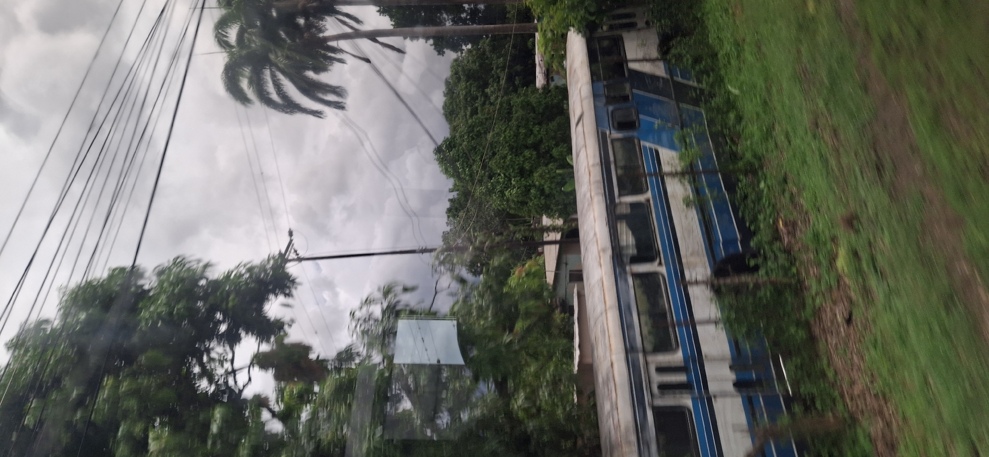 The image, captured in Los Pegones, Venezuela, shows a rural scene with a train lying on its side amidst lush greenery and trees. The sky is overcast and a storm appears to be brewing, with dark clouds suggesting heavy rain or a recent downpour. The train, with its blue and white livery, seems abandoned or has been involved in an accident. The surrounding vegetation is dense and untamed, typical of a tropical or subtropical environment. Power lines stretch across the frame, indicating proximity to a residential area or infrastructure. The overall mood is one of desolation and nature's reclamation, with the overturned train a stark contrast to the vibrant, though somewhat foreboding, natural landscape. No people are visible in the frame, adding to the sense of abandonment. The image is slightly blurred, possibly due to movement during capture or the weather conditions.