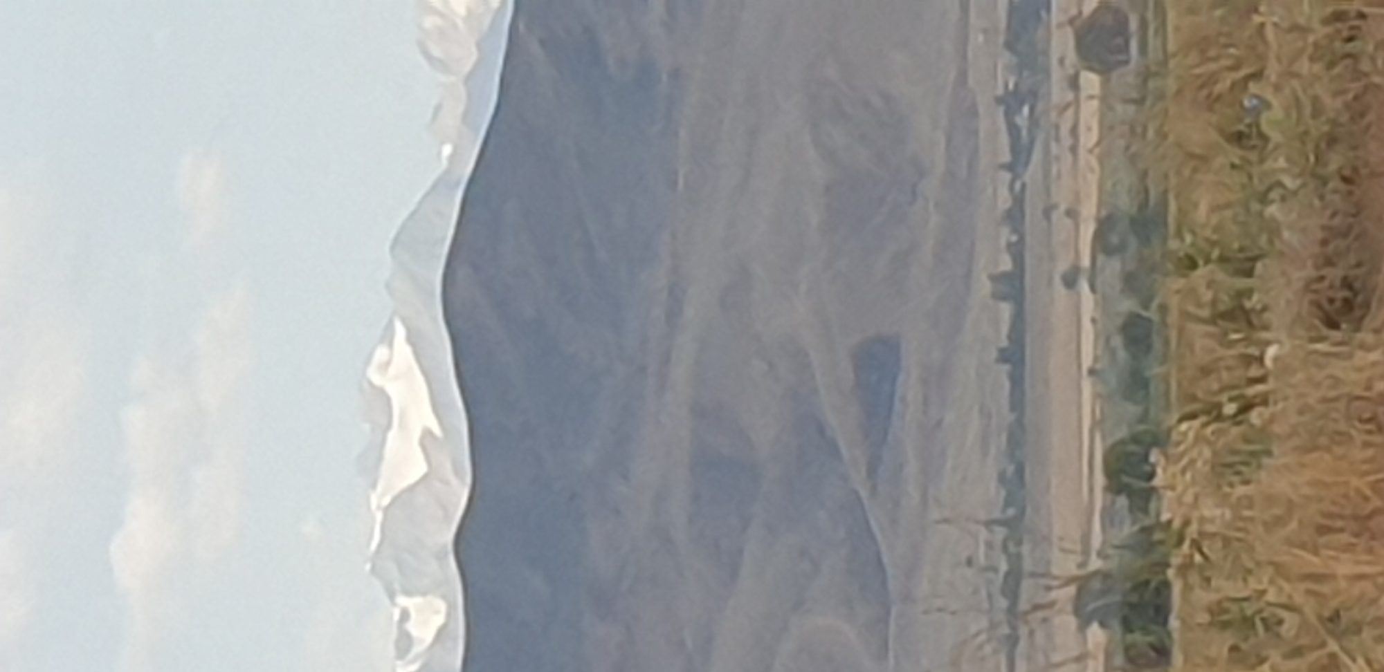 An outdoor, medium shot captures a distant, hazy view of snow-capped mountains against a pale blue sky with sparse clouds. The foreground is filled with dry, brown grasses. In the middle ground, a vast, dry, tan-colored plain stretches out, dotted with scattered green trees and bushes. A low-lying cluster of buildings, possibly a village, is visible in the distance on the plain. The overall impression is one of a vast, arid landscape with a distant mountain range, likely in or near the city of Leninskoye, Kyrgyzstan.