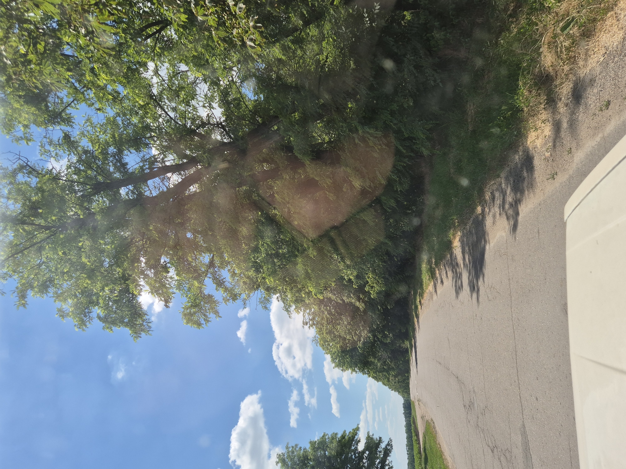 The image depicts a rural road in Sozonivka, Ukraine, on a sunny day with scattered clouds. The road, made of asphalt and showing signs of wear and tear, curves gently to the left. Dense green trees and foliage line the right side of the road, casting shadows across the asphalt. On the left, a field of crops is visible in the distance. The top portion of the image captures a bright blue sky with white, puffy clouds, and sunlight filtering through the leaves of the trees. The foreground shows the hood of a light-colored vehicle, suggesting the image was taken from inside a car. There are no people or animals visible in the scene. The overall impression is one of a serene, natural landscape.