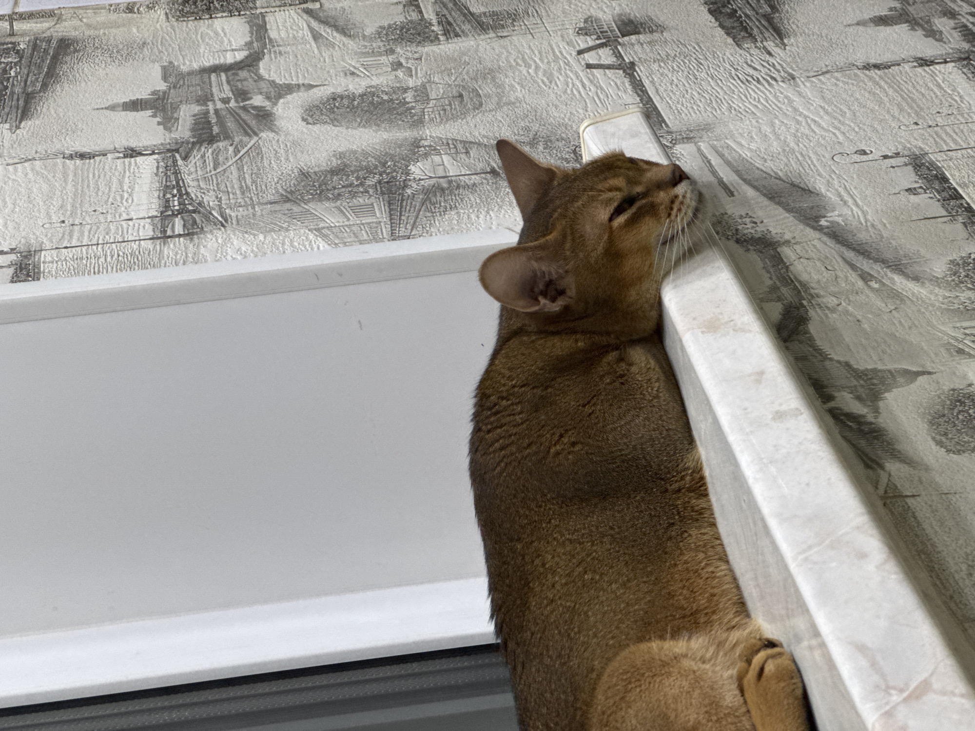 The image shows a short-haired, brown cat lying on a white ledge in front of a wall with a black and white cityscape pattern. The cat is resting its head on the ledge, with its eyes closed. The background wall depicts a stylized city with buildings, trees, and a body of water. The ledge appears to be a windowsill. There are no people visible in the image. The location is not specified in Noviy, Russia or any other city.