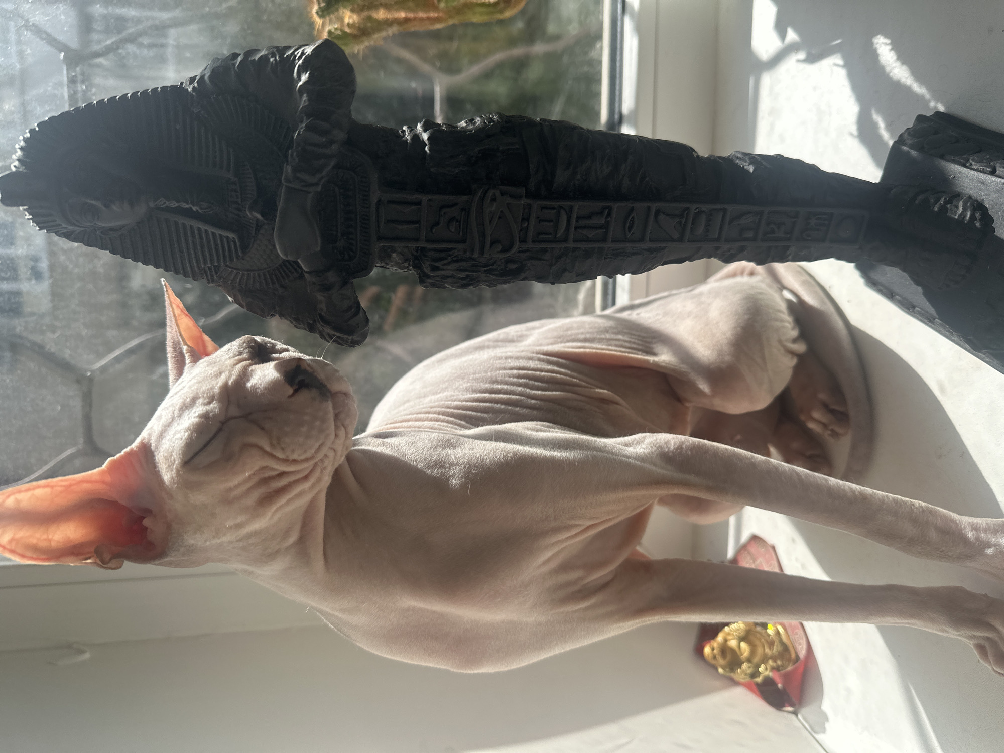 The image depicts a Sphynx cat sitting on a windowsill next to a dark statue of an Egyptian figure. The cat is light-skinned and hairless, with its eyes closed and its head tilted slightly. The statue is detailed, featuring hieroglyphics and a pharaonic headdress. Sunlight streams in from a window, casting shadows on the windowsill and the subjects. In the background, through the window, hints of greenery and possibly other plants are visible. To the left of the cat, a small golden figurine, possibly of Buddha, rests on a red cloth. The scene appears to be indoors, on a windowsill, in a location that cannot be determined from the visual information provided; specifically, there is no information within the image to suggest it is located in the city of Togliatti, Russia.