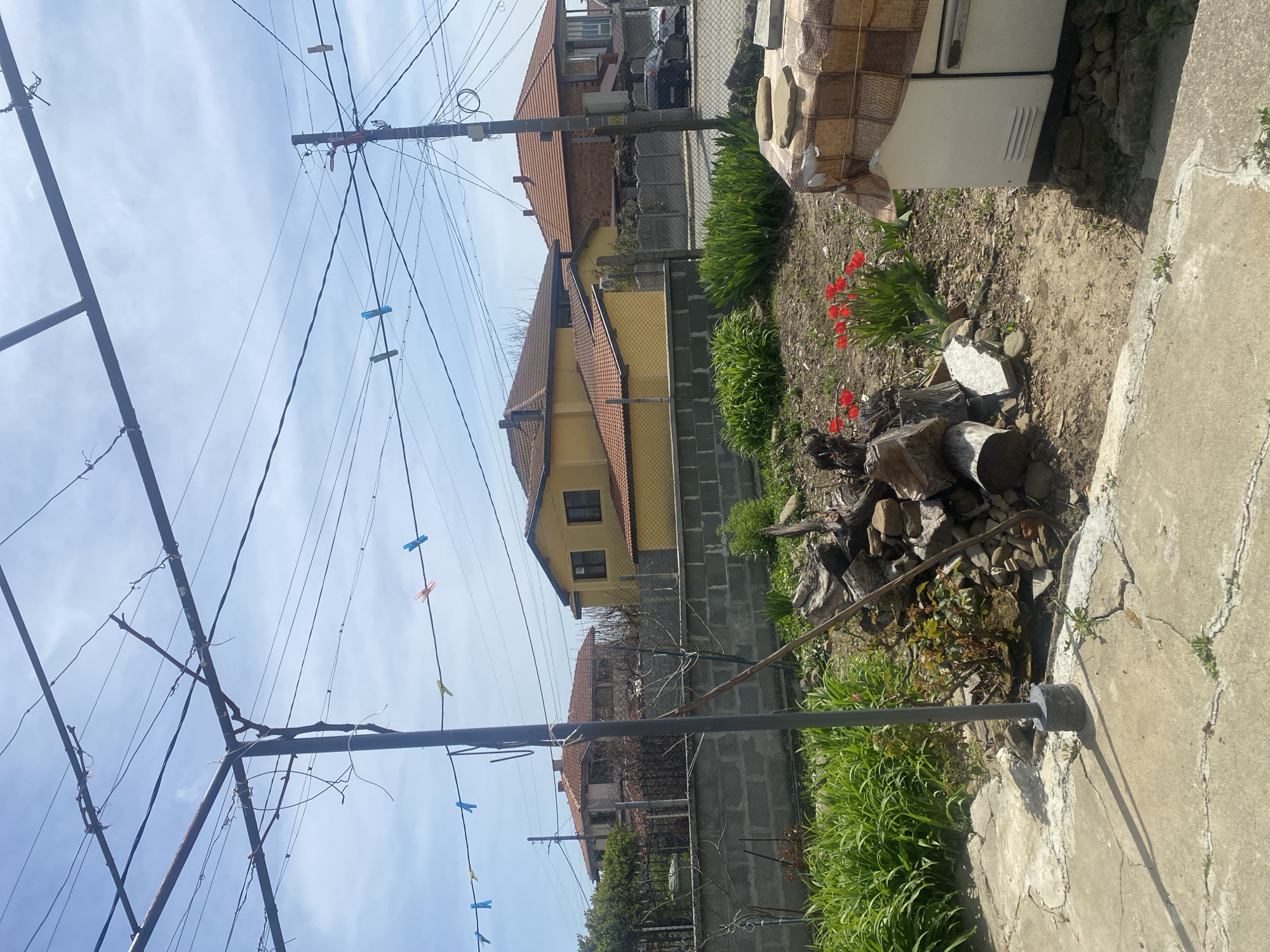 The image presents a view in Goritsa, Bulgaria, showing a backyard garden adjacent to houses and utility lines. In the garden, there are red tulips, green foliage, and cut logs. A weathered white refrigerator stands near the garden area. A concrete structure forms part of the foreground on the right. Above the garden, houses with tiled roofs are visible, separated by a fence. A network of electrical wires crisscrosses the sky, supported by poles and a metal frame, from which colored clothespins are hanging. The sky is pale blue with scattered clouds. A car is parked near one of the houses.