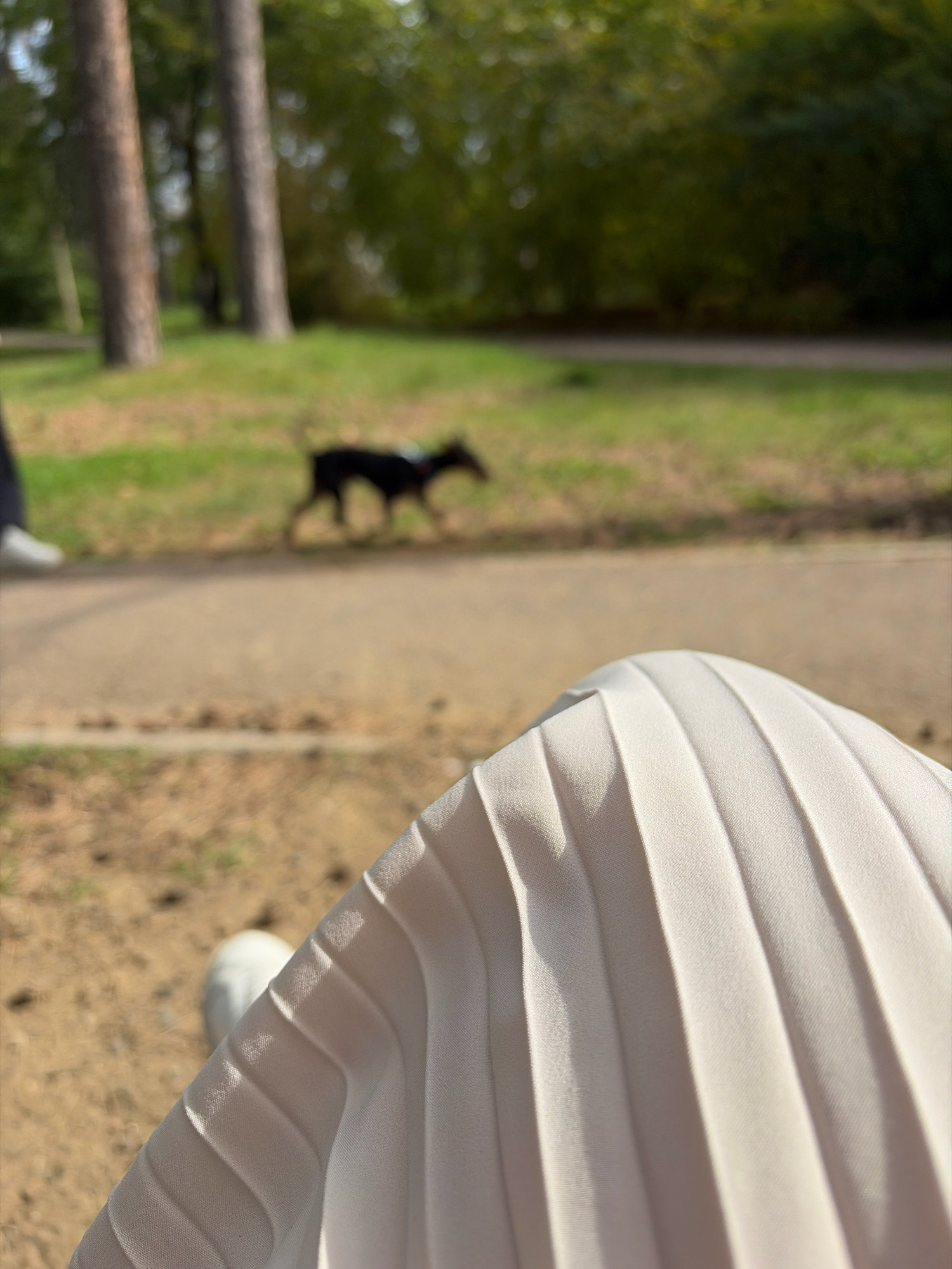In the foreground, a light-colored pleated fabric is in sharp focus, likely a skirt or dress. In the background, out of focus, a small black dog is walking on a paved path. To the left, a person's legs and shoes are partially visible, also out of focus. The environment appears to be a park or green space with trees and grass. The scene is outdoors during daylight. This image was captured in Angarsk, Russia.