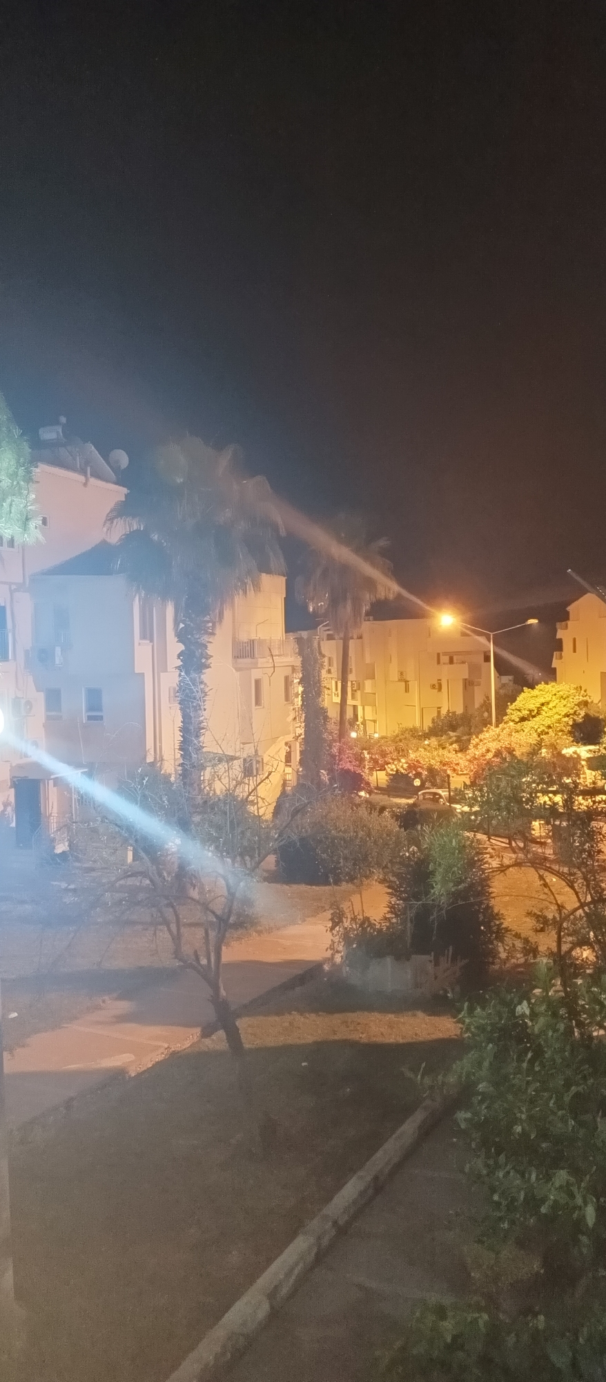 The image depicts an outdoor scene at night in Antalya, Turkey. A street light illuminates a residential area with multi-story buildings and palm trees. The buildings are light-colored, with visible windows and balconies. In the foreground, a bare tree with branches extends upwards. Lush greenery and bushes are present, along with a dark-colored car parked in the background. The scene appears quiet and serene.