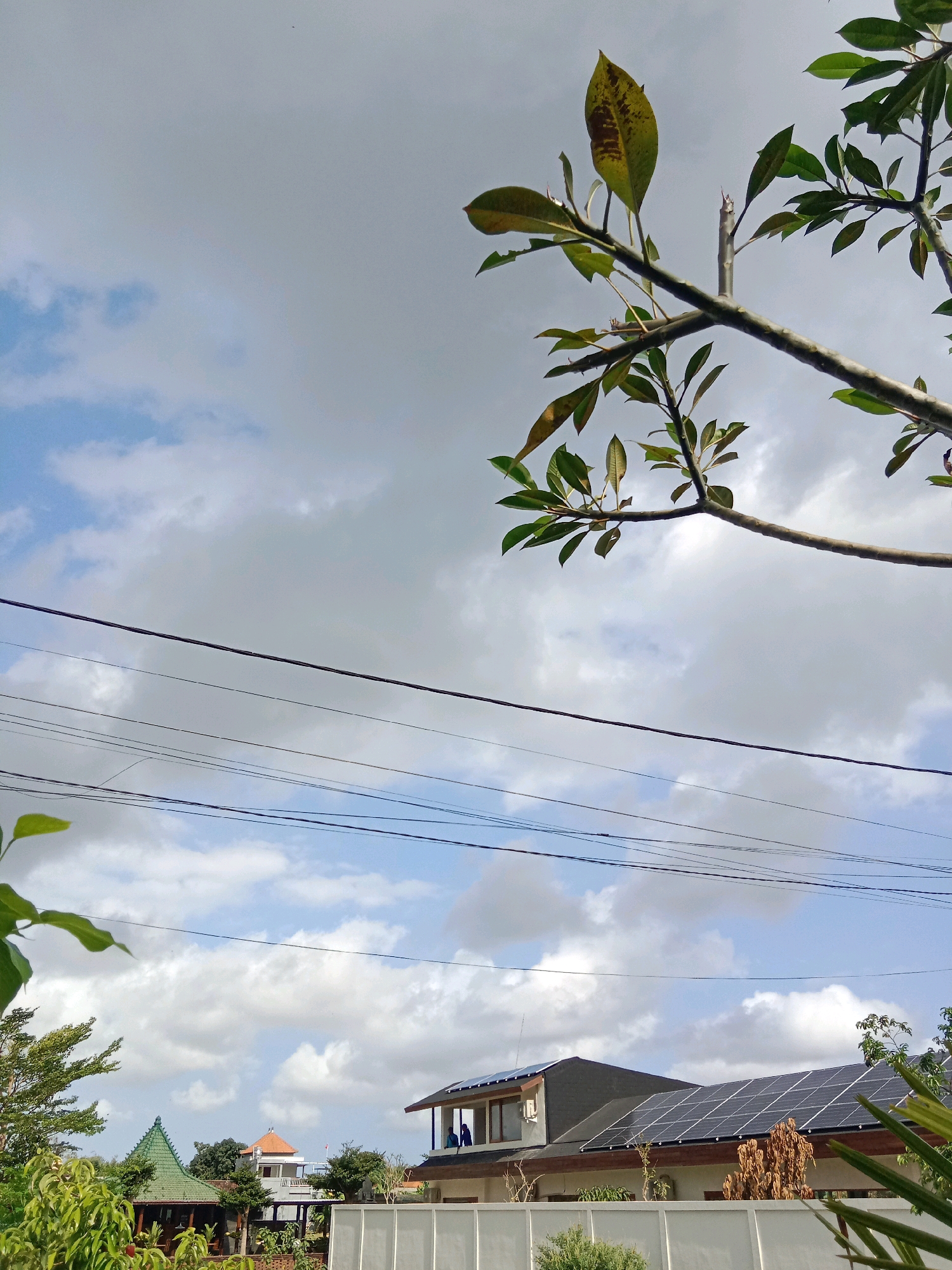 The image shows a view of houses with solar panels on their roofs against a cloudy sky. In the foreground, there are tree branches with leaves, some of which appear discolored. Several power lines are strung across the frame, intersecting the sky and obscuring parts of the scene.
The location is in the city of Mengwi, Indonesia, where the architecture and vegetation are characteristic of the region. The houses appear to be modern residences, with one prominently featuring an array of solar panels. Another building in the background has a distinct green, multi-tiered roof. The presence of power lines suggests an urban or semi-urban setting. The overall impression is that of a residential area undergoing modernization with renewable energy technology, set against a backdrop of a typical tropical sky.
