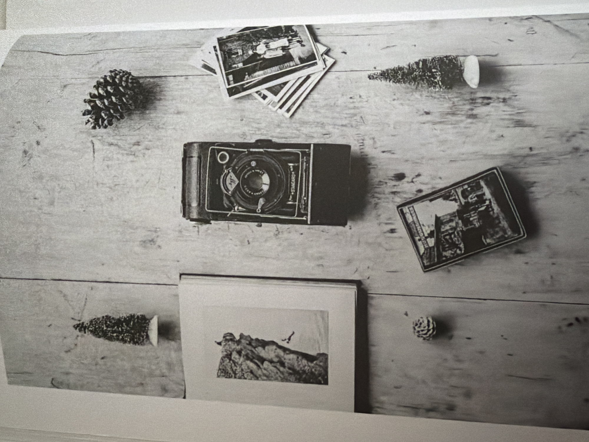 The image is a still life composition, shot from a top-down perspective, with various objects arranged on a wooden surface. The objects include a vintage camera, a stack of old photographs, two miniature artificial Christmas trees, two pinecones, and what appears to be a postcard or a small framed picture. The wooden surface has a rustic texture with visible grain and appears to be distressed.
The camera, a bellows type, is positioned centrally. To its right, a small pile of black and white photographs, some showing figures, are fanned out. To the left of the camera, a framed picture displays a rocky cliff face with a person rappelling down it. Above the camera and to the right, a pinecone rests on the wood. Another pinecone is located in the lower left quadrant, near a small, dark rectangular object that could be a cigarette case or a similar small container. Two miniature Christmas trees, one at the top left and another at the bottom right, are also part of the arrangement, each resting on a white base. The overall aesthetic suggests a nostalgic or thematic display.
The image is a black and white photograph, creating a timeless feel. There is no discernible connection to the city of Pazardzhik, Bulgaria, or any specific urban environment. The setting appears to be an indoor arrangement on a wooden surface, possibly a tabletop or a floor. There are no people depicted in the scene, except for those in the photographs and the framed picture.