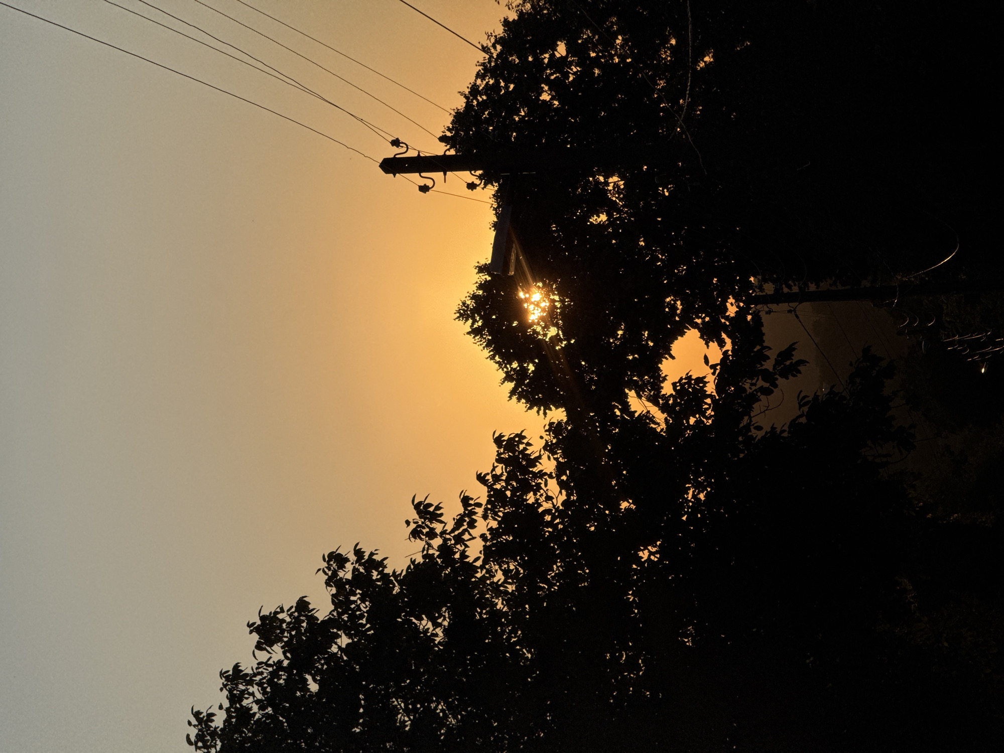 The image shows a silhouetted scene of trees and a utility pole against a gradient sky transitioning from a pale gray at the top to a vibrant orange near the horizon. Sunlight is peeking through the dense foliage of the trees, creating a dramatic effect and casting rays of light. Several electrical wires extend diagonally across the upper right portion of the frame, connected to the utility pole which is positioned near the center-right. The setting appears to be outdoors, possibly in a residential or semi-urban area given the presence of the utility pole and wires. The overall mood is peaceful and evocative, characteristic of a sunset.