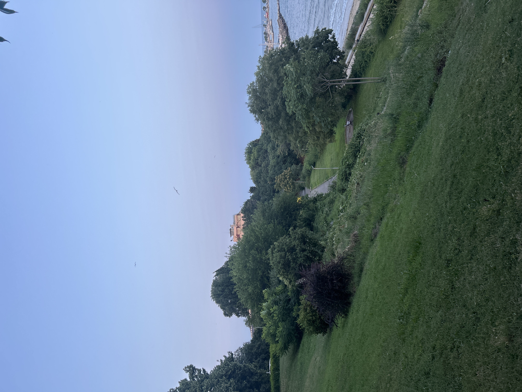 This image depicts a tranquil scene in Nesebar, Bulgaria, likely in the late afternoon or early evening, given the soft lighting. The foreground is dominated by a grassy slope, indicative of a park or a hillside overlooking the sea. A winding pathway is visible further down, bordered by lush green bushes and trees. In the distance, across the water, a harbor with several sailboats can be seen. The sky is a clear, pale blue with a few faint clouds and a couple of birds in flight, adding to the serene atmosphere. The overall impression is one of natural beauty and peacefulness.