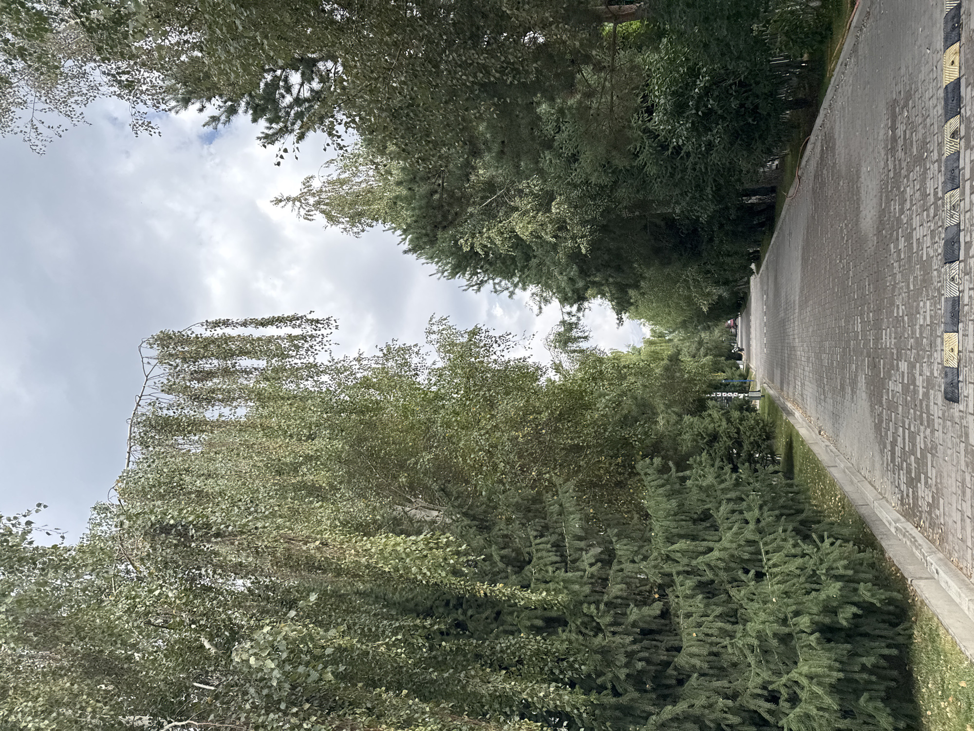 The image depicts a paved pathway lined with lush green trees on both sides, extending into the distance. The pathway is made of rectangular paving stones and features speed bumps. The trees are a mix of deciduous and coniferous types, with some branches of a weeping tree hanging over the path. The sky above is cloudy, with hints of blue sky visible. In the distance, several figures are walking along the pathway, and a red vehicle is parked on the left side of the path. The scene suggests a park or a quiet street within a developed area. This specific pathway is located in Sary-Oy, Kyrgyzstan.