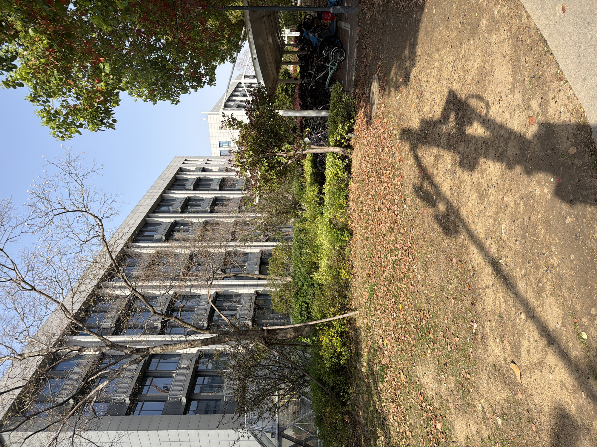 The image shows an outdoor scene in Jiangning District, China. A modern, multi-story building with numerous windows is visible on the left, partially obscured by a bare tree in the foreground. A covered bicycle parking area with several parked bicycles is present in the background. A patch of ground covered in fallen leaves is on the right. The shadow of a light fixture is visible on the ground. There are several green bushes and another leafy tree. The sky is visible in the upper portion of the image.
