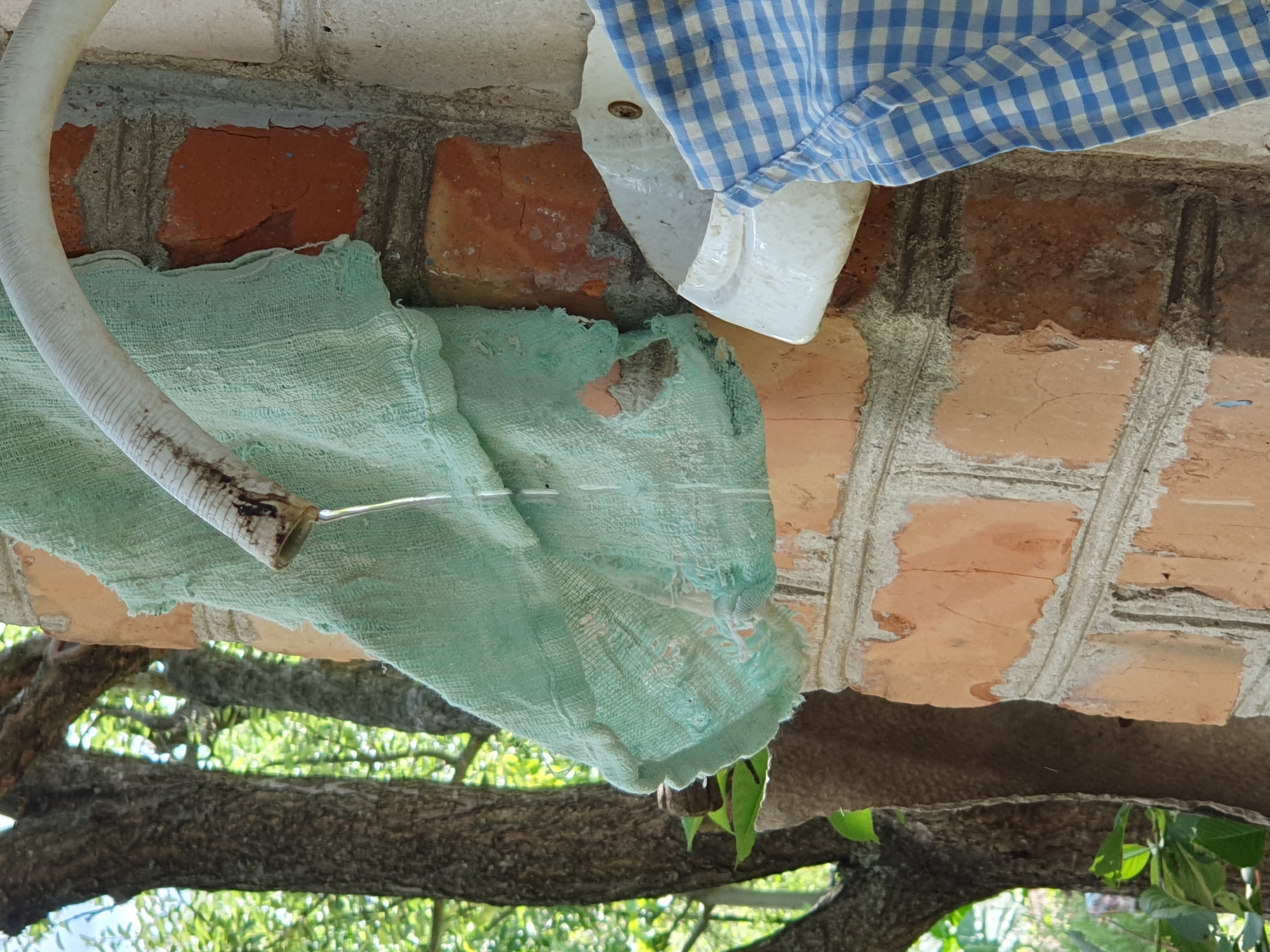 A close-up shot captures water dripping from a pipe onto a tattered, light green cloth, which hangs against a weathered brick wall. The pipe, likely a faucet, is partially visible at the top of the frame, with a thin stream of water creating a delicate cascade down the fabric. The cloth shows signs of wear and tear, with frayed edges and several holes. To the right of the cloth, a small, white ceramic basin is attached to the wall, and a blue and white checkered fabric is draped over its edge. The brick wall behind the objects is a mix of orange and red hues, with visible mortar lines and some areas of damage. In the background, the blurred image of a tree trunk and green foliage suggests an outdoor setting, possibly a yard or garden in Novoivanivka, Ukraine. The lighting indicates it is daytime, with sunlight filtering through the leaves.