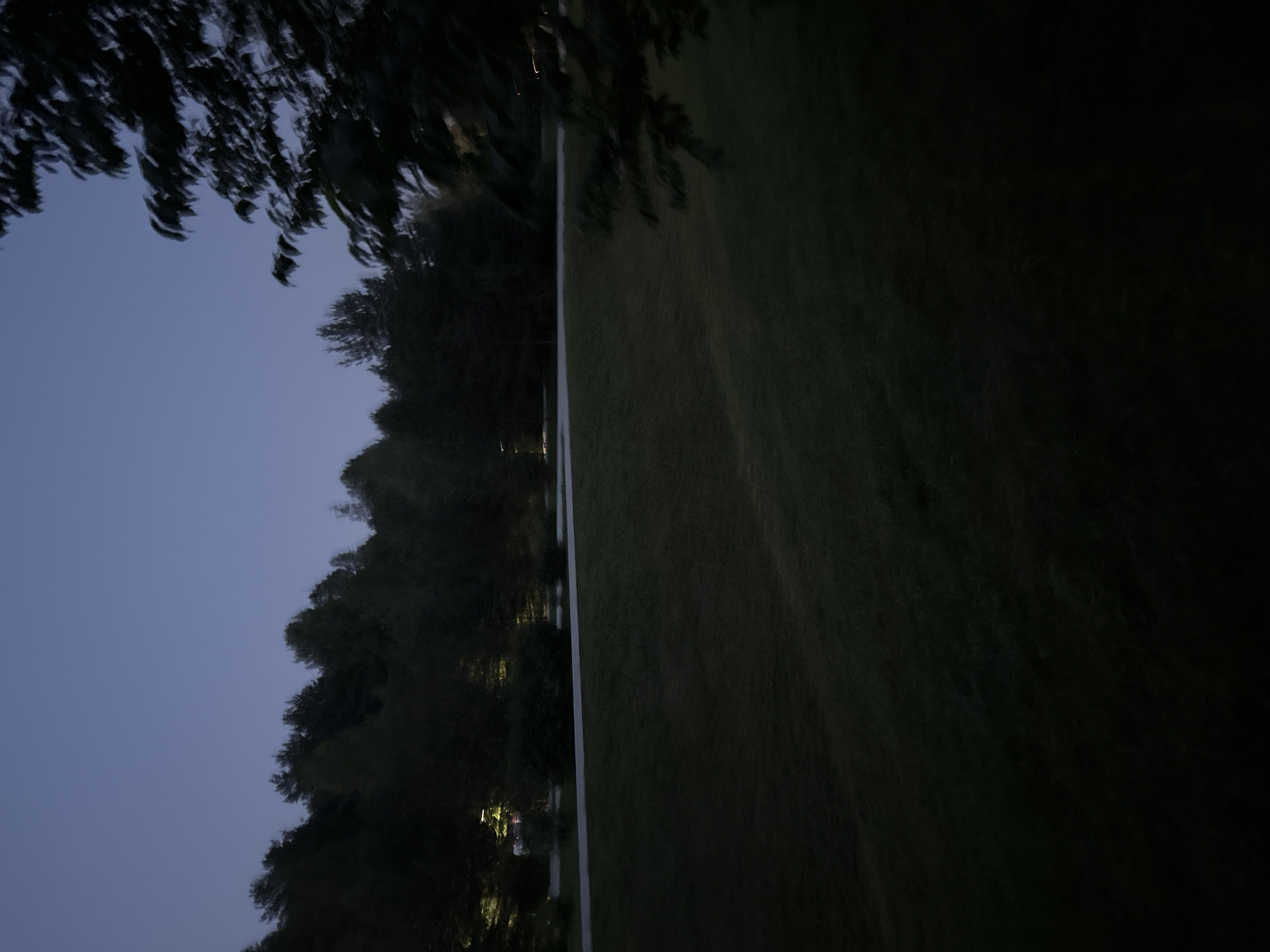 The image captures a dimly lit outdoor scene, likely during twilight or early evening. A dark expanse of grass occupies the foreground, sloping gently upwards towards a paved path in the mid-ground. Beyond the path, a dense line of trees forms a dark silhouette against the fading light of the sky, which transitions from a deep blue at the top to a lighter hue near the horizon. Scattered lights are visible among the trees, suggesting the presence of structures or streetlights. The overall atmosphere is serene and quiet, with no visible people or animals. The image is taken from a slightly elevated perspective, looking out over the grassy area and towards the tree line.
