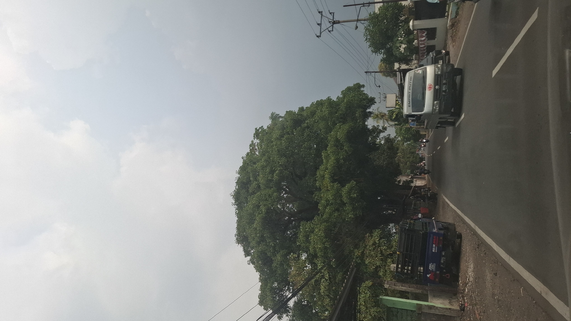 The image depicts a street scene in Susukan, Indonesia, under an overcast sky. A wide, asphalt road runs through the center of the frame, with a white line marking the lane division. On the left side of the road, a blue pickup truck with a cage-like structure is parked, facing away from the camera. Next to it, a green and white structure, possibly a building or fence, is visible. A very large, mature tree with dense green foliage dominates the left half of the image, its branches reaching towards the sky and obscuring some of the overhead power lines.
On the right side of the road, a silver pickup truck with the text "EMPAT PUTRI" and a CBS logo on its front is driving towards the camera. Another dark-colored vehicle is partially visible behind it. Further down the road, several motorcycles are also in motion, some carrying riders. Telephone poles with numerous wires are present on both sides of the street. The environment appears to be a mix of residential and commercial areas, with hints of buildings and greenery along the roadside. The overall impression is of a typical day in a Indonesian town, with everyday traffic and infrastructure.