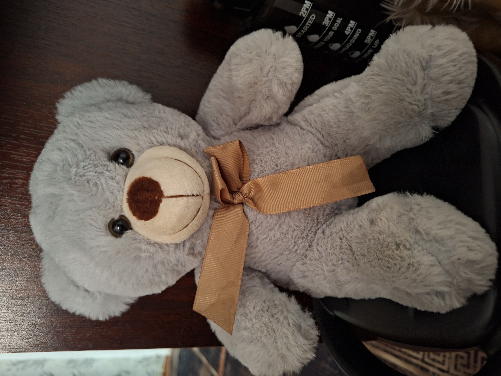 A light gray teddy bear with a tan ribbon tied around its neck is seated on a dark surface. The teddy bear has dark brown button eyes and a brown nose. The background is a dark wooden surface. A black water bottle with time markers is partially visible to the right of the teddy bear. The scene is an indoor setting within the city of Amankaragay, Kazakhstan.