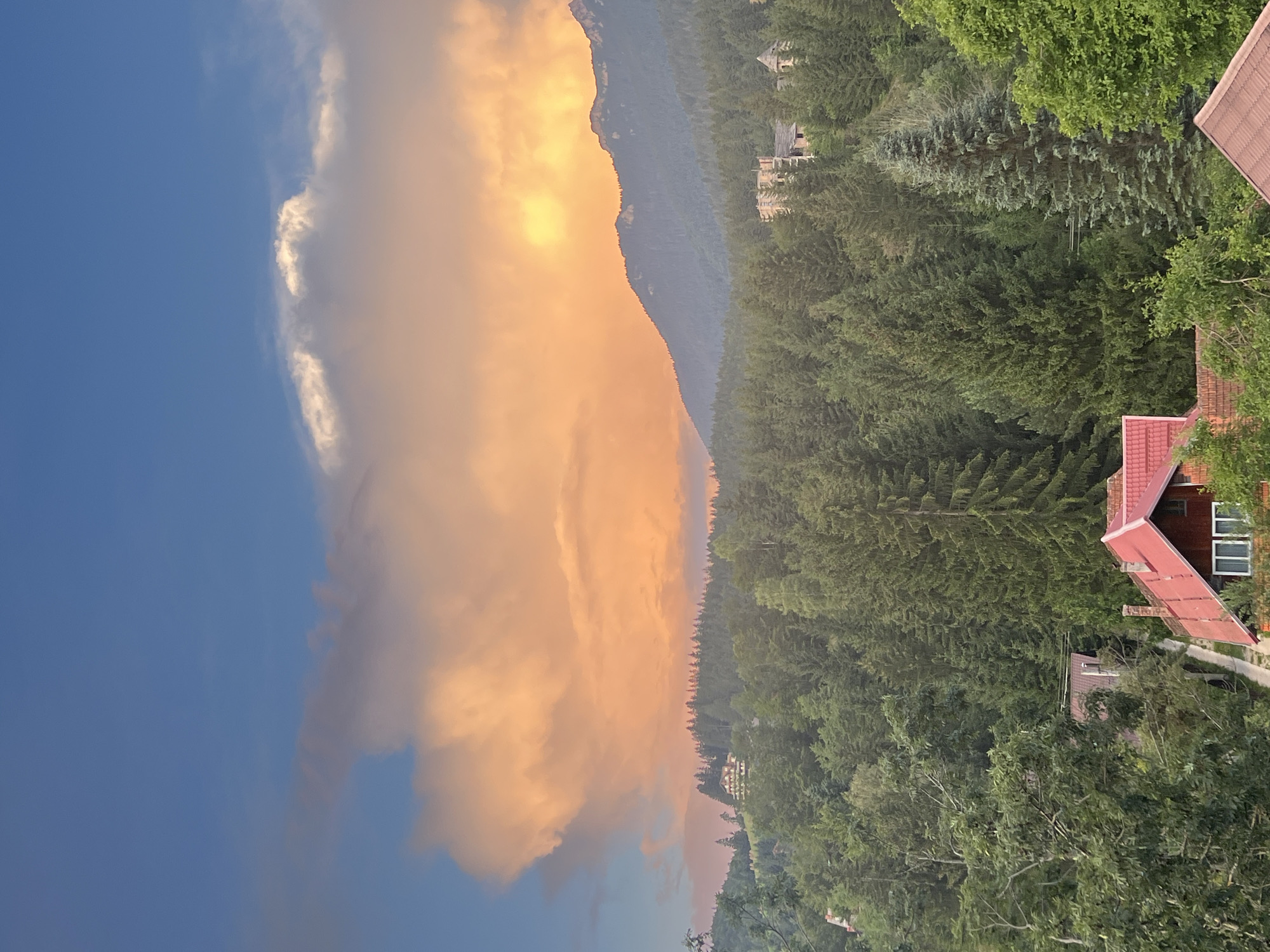 A photograph captures a dramatic sky painted with hues of orange and yellow from a sunset, illuminating a vast expanse of clouds. Below the vibrant sky, a dense forest of evergreen trees covers rolling hills. A mountain range forms the horizon line on the right side of the image, silhouetted against the colorful sky. Several buildings are visible nestled within the treeline, hinting at a settlement within the natural landscape. In the foreground, rooftops of houses with red tiles are peeking out from the foliage. The overall scene evokes a sense of natural grandeur and a peaceful, rural atmosphere.