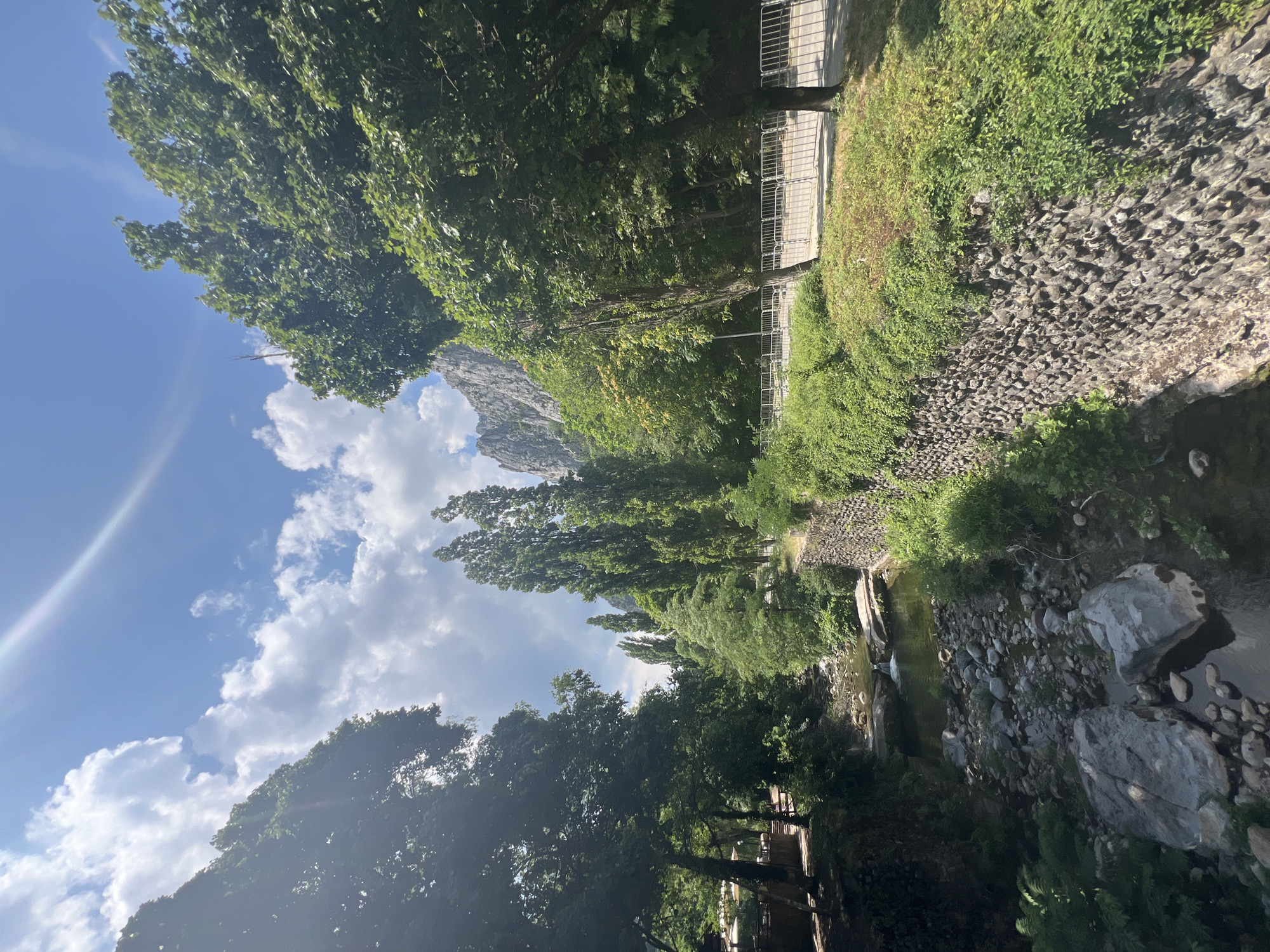 The image depicts a picturesque natural scene with a clear sky and lush greenery. A stream flows through the foreground, with a rocky bed and clear water. On either side of the stream, stone walls covered in vegetation rise up, creating a sense of enclosure. Tall, slender trees line the banks, with a dense canopy of leaves. In the background, imposing rocky mountains are visible, hinting at a mountainous landscape. A paved path with a metal railing runs alongside one of the stone walls, suggesting a public area or a trail for visitors. The overall impression is one of natural beauty and tranquility.
This scene is located in Vratsa, Bulgaria, specifically within the Vratsa National Park, known for its stunning natural beauty and hiking trails. The park features dramatic limestone cliffs, forests, and the Bistrets River, which appears to be the stream depicted in the image.