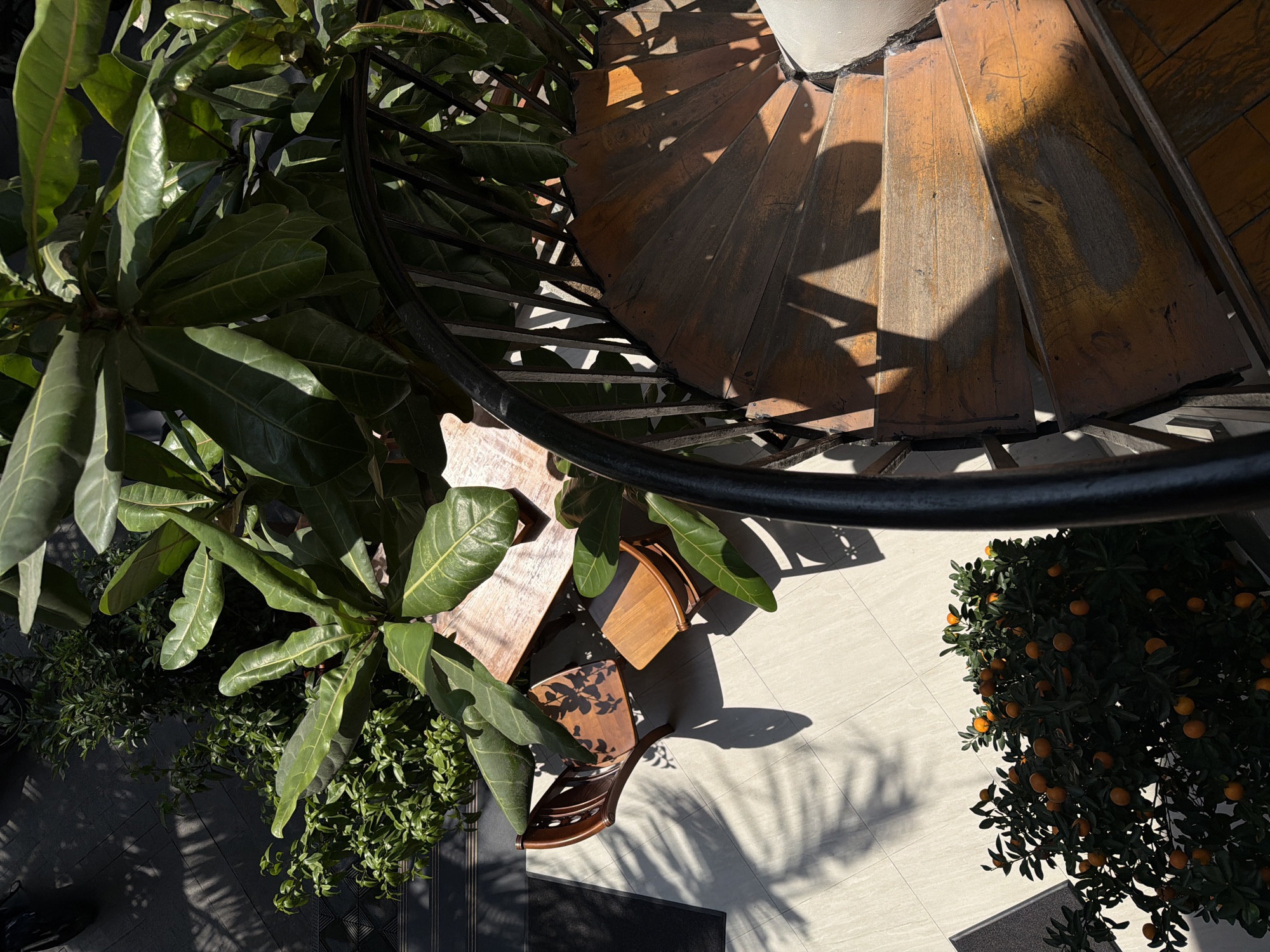 An overhead shot of an outdoor scene in Đà Nẵng, Vietnam shows a spiral staircase with wooden steps casting strong shadows. Next to the staircase, there is lush green foliage. Below the staircase, a wooden table and chairs are bathed in sunlight and dappled shadows. To the right, an orange tree adds a pop of color to the scene. The ground is tiled with light-colored slabs, and shadows suggest a bright, sunny day. A black metal railing is visible, curving around the scene.