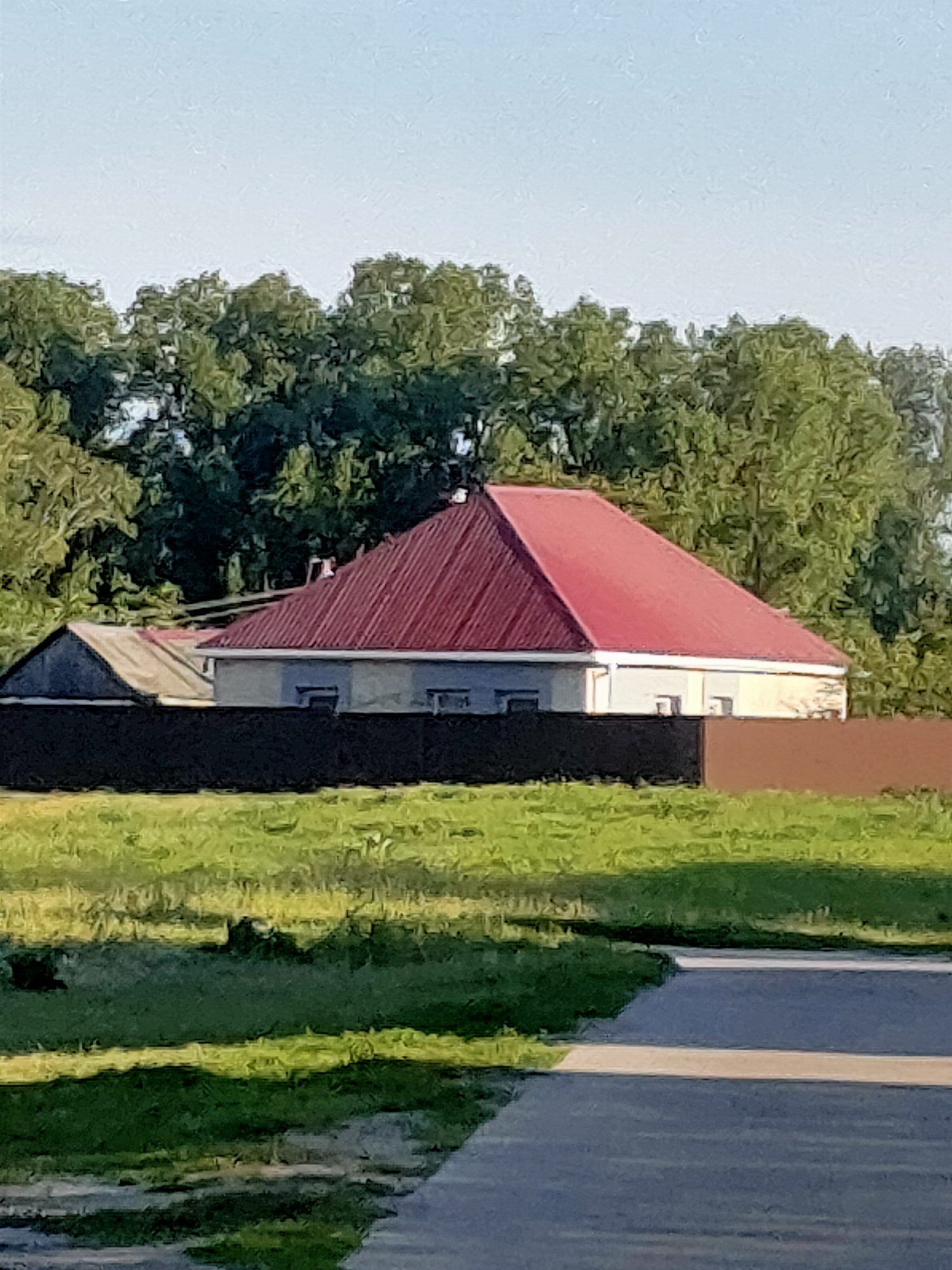 The image depicts a residential scene, likely in the city of Nosivka, Ukraine. In the foreground, a paved pathway runs diagonally from the bottom right towards the middle of the frame, bordered by a grassy area. Beyond the grass, a dark brown fence and a black fence segment enclose a property. Within the fenced area, a light-colored house with a prominent red, pitched roof is visible. Adjacent to this house, to the left, is a smaller structure with a lighter-colored roof. Behind the houses, a dense line of green trees forms the background. The sky above is a clear, light blue. There are no people or animals visible in the image.