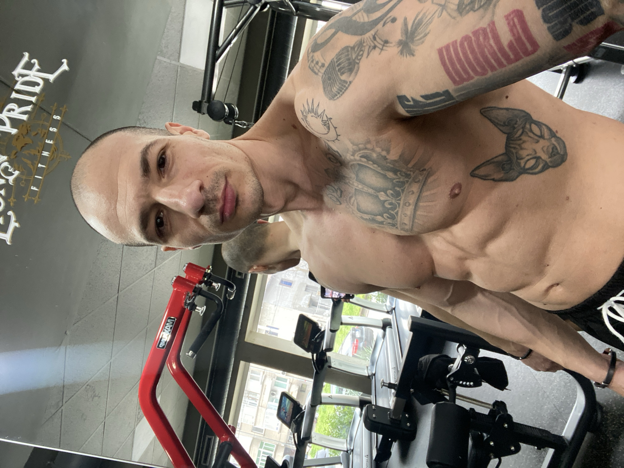 A man with a shaved head and tattoos is posing for a photo at "Long Pride Fitness" in Pleven, Bulgaria. He has a muscular build and is shirtless, showcasing tattoos of a cat, crown, and the word "WORLD" on his arms and chest. He stands in a gym with treadmills visible in the background, facing a window that overlooks a street with buildings. A red weight machine is on the left side of the frame.