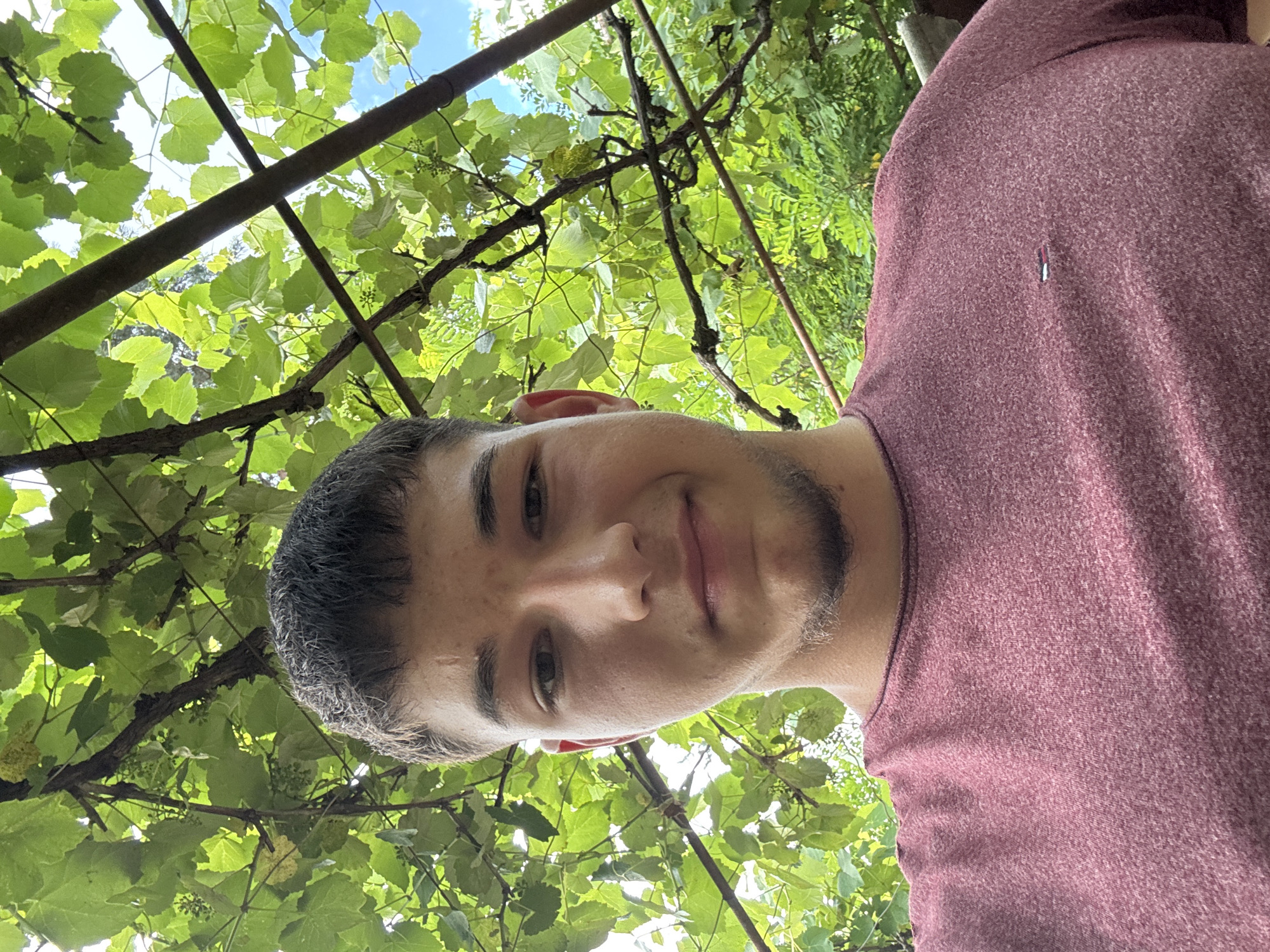 In Zlatograd, Bulgaria, a young man of apparent Balkan descent, with short brown hair and a light beard, poses for a selfie under a canopy of lush green grapevines. He is wearing a heathered maroon t-shirt with a small, red, white, and blue rectangular logo on the left breast. The background is dominated by the dense foliage of grape leaves and branches, with glimpses of the blue sky and distant green trees. The lighting suggests it is daytime, likely outdoors.