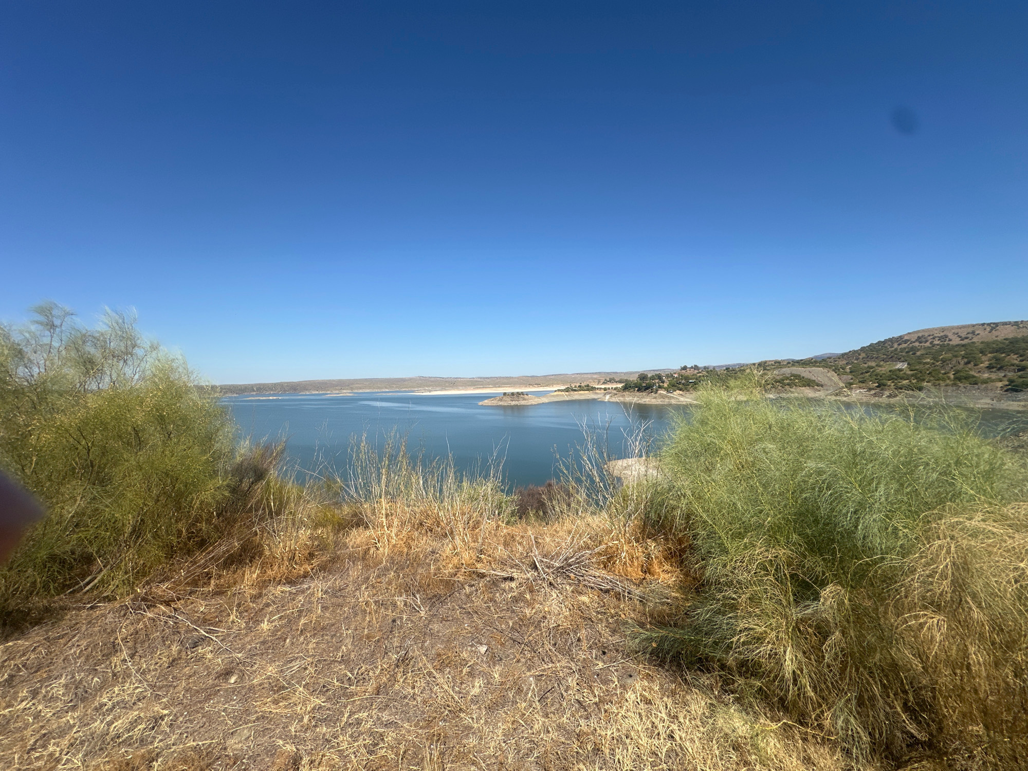 The image shows a wide, expansive view of a large body of water, likely a reservoir, under a clear, bright blue sky. In the foreground, the terrain is dry and covered with sparse, yellowish-brown grasses and some green, shrub-like vegetation. The vegetation on the right side of the frame is denser and greener, with thin, wispy branches. The water is calm and reflects the sky, with a noticeable horizon line where it meets the distant land. The land on the far side of the water appears to be hilly and sparsely vegetated with scattered trees and some buildings. The scene suggests a natural, arid environment, typical of the region. The specific location in the city of Garrovillas de Alconétar, Spain, is identified as the Embalse de Garrovillas.