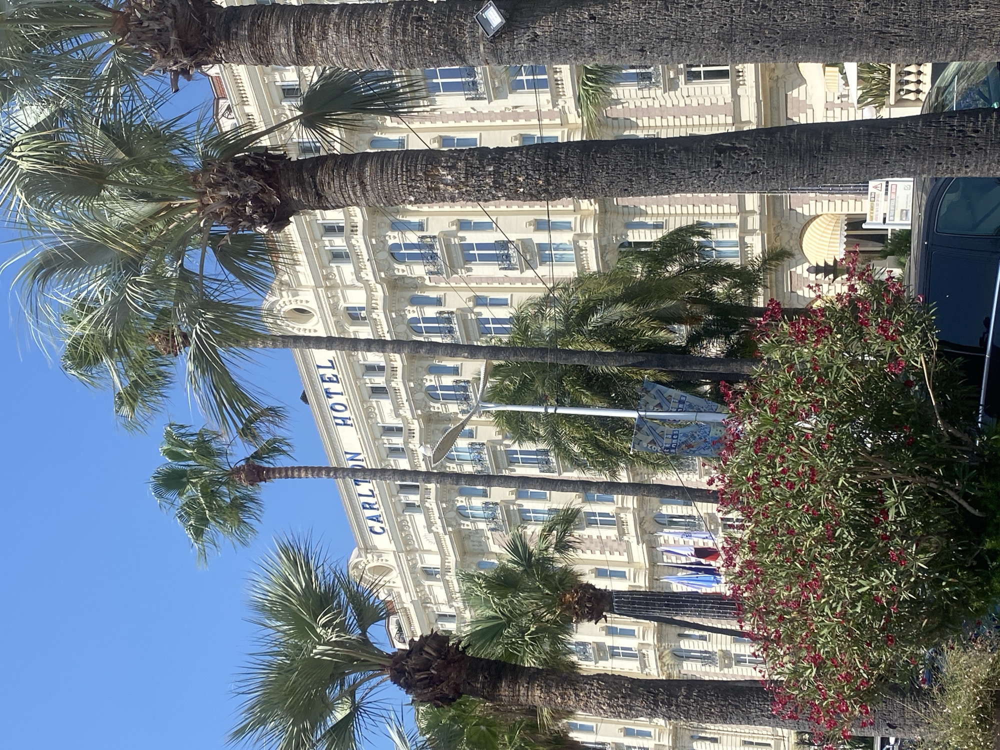 The image depicts the Carlton Hotel in Cannes, France, a grand, ornate building with a cream-colored facade, adorned with decorative architectural elements and numerous windows. The hotel's name is visible in blue lettering across the top of the building. In the foreground, several tall palm trees with rough, textured trunks frame the scene, their fronds reaching towards the bright blue sky. A bush with vibrant red flowers is positioned in front of the hotel, adding a splash of color to the composition. Several flags are visible behind the bush, adding to the impression of a public space or event. The environment appears sunny and summery.