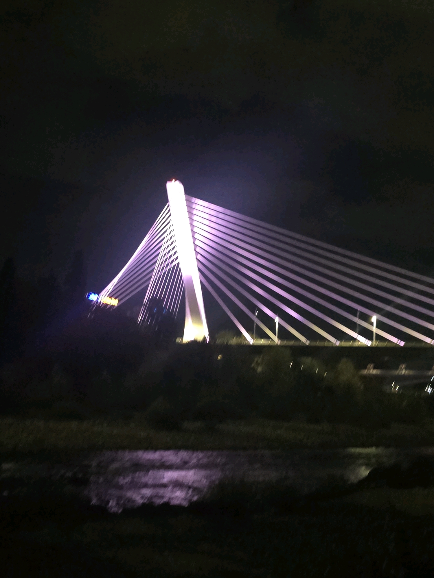 A cable-stayed bridge illuminated with purple lights at night is pictured in this image, taken at an unknown location in an unknown city. The bridge's tower is tall and slender, with cables fanning out to support the roadway. The cables themselves are lit with a soft, purple glow, creating a dramatic effect against the dark night sky. The roadway of the bridge appears to be elevated, with streetlights visible along its length. In the foreground, a body of water reflects the purple light from the bridge. The surrounding landscape is dark and indistinct, suggesting a natural setting with some vegetation. The overall impression is one of a modern and striking architectural feat, highlighted by the vibrant nighttime illumination.