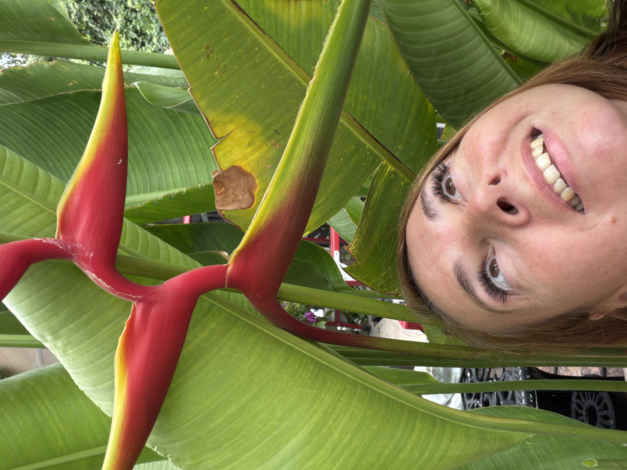 In a close-up shot, a woman looks up and to the right with a broad smile, her mouth slightly open, revealing her teeth. She has fair skin, freckles, and her gaze is directed upwards, past the large, vibrant green leaves of tropical plants that dominate the frame. A bright red and yellow flower bract, characteristic of a heliconia, is prominently featured above her head, extending across the upper portion of the image. The background is filled with lush foliage, suggesting an outdoor setting, possibly a garden or park in Baan Bang Rak, Thailand.