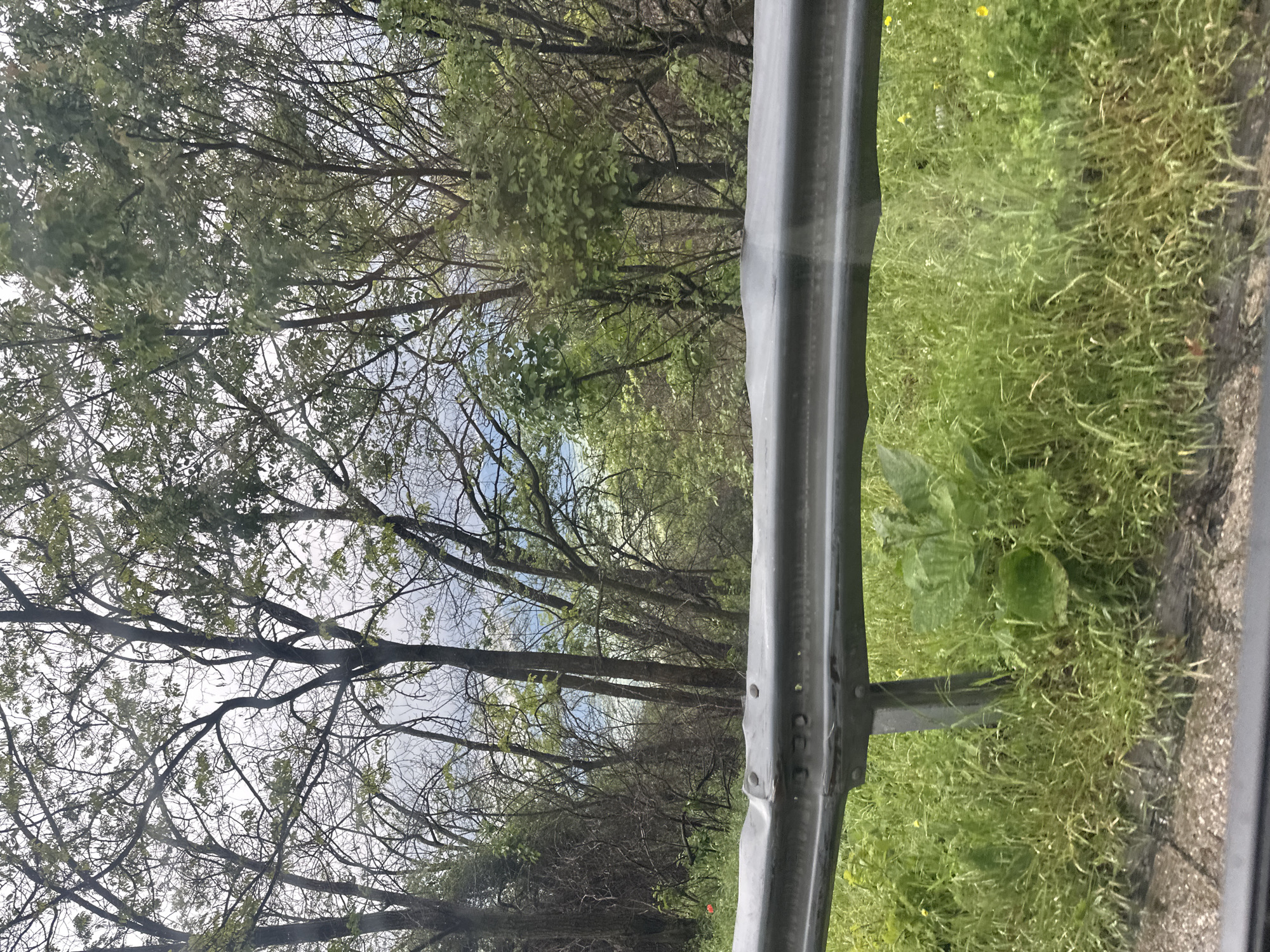 The image depicts a roadside scene, likely taken from inside a vehicle. A gray metal guardrail is prominently featured in the foreground. Beyond the guardrail, there is a grassy area, and further in the background is a wooded area with bare trees and some foliage. There is a glimpse of the sky through the trees. There are no visible people or actions. Given that the request specifies Karnare, Bulgaria as the location, it is likely that this scene depicts a roadside near the village.