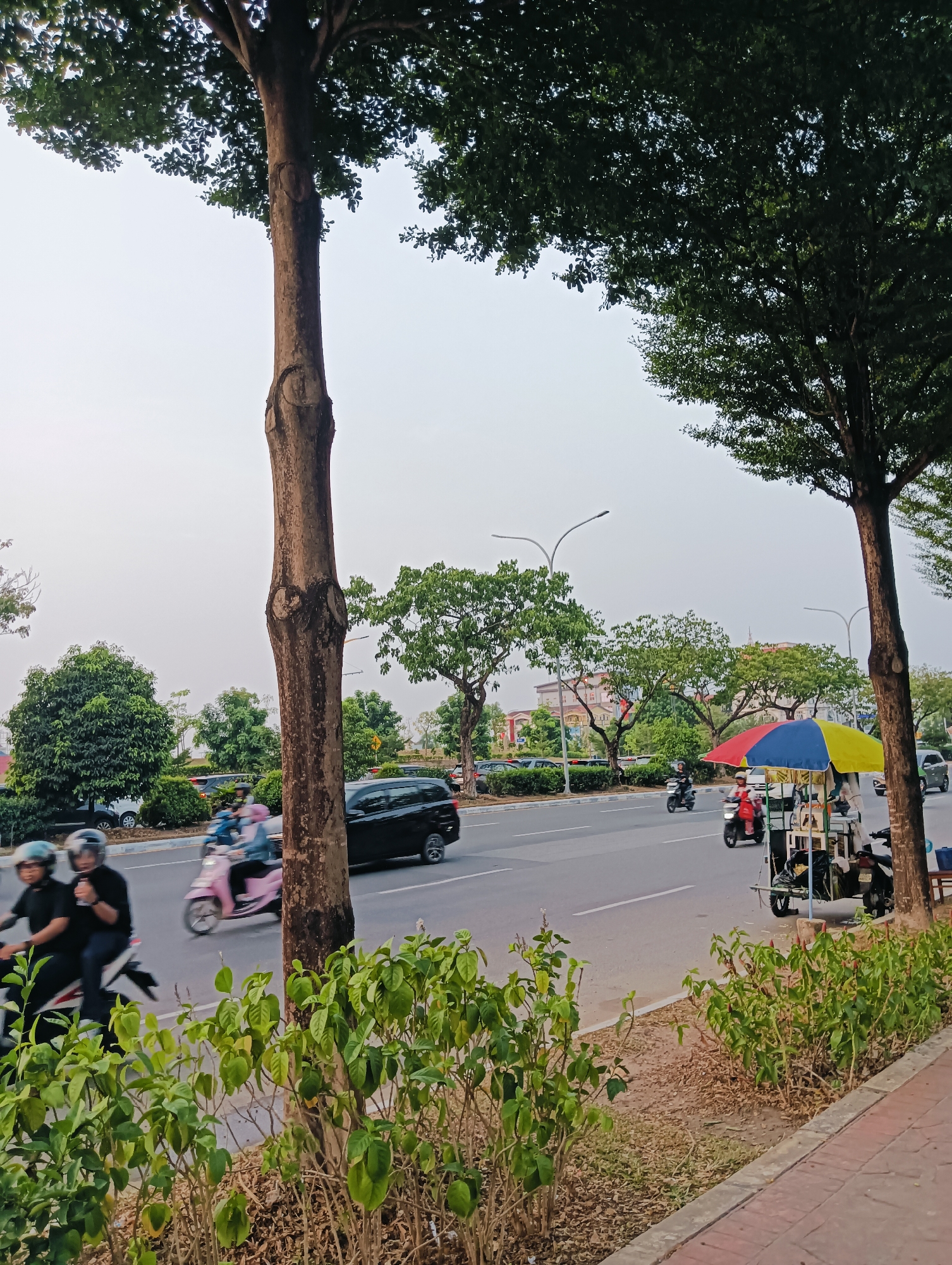 In Batam, Indonesia, a street scene unfolds with a focus on a multi-lane road bordered by trees and pedestrian walkways. The foreground features lush green shrubs and a paved sidewalk. On the road, traffic moves, with two individuals on a scooter in the left lane, wearing helmets. A pink scooter follows, also with a rider. Further down the road, a black van and other vehicles are visible. To the right, a street vendor's cart is set up under a colorful umbrella, with a person attending to it. The background shows more trees and buildings under a hazy sky. The overall impression is a busy urban environment with a mix of transportation and commercial activity.
