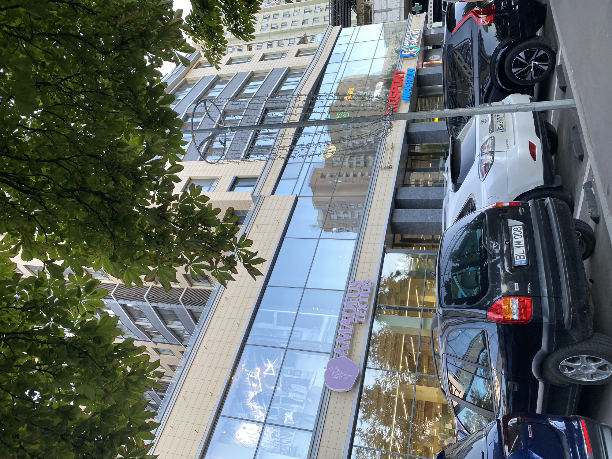 A medium shot captures a street-level view of a modern building with large glass windows, reflecting the sky and surrounding structures. In front of the building, several cars are parked. The building's facade features light beige and grey panels. A sign with a purple circle and the text "AMADEUS TEXTILES" is visible on the left side of the building. To the right, signs for "KROSPORT MAGAZIN" and "FARMACIA FAMILIE" are displayed. The scene is framed by the dappled shadows of green tree leaves in the foreground. The license plate of the black Opel visible in the foreground reads "BL VM 008". This image was taken in Chișinău, Moldova.