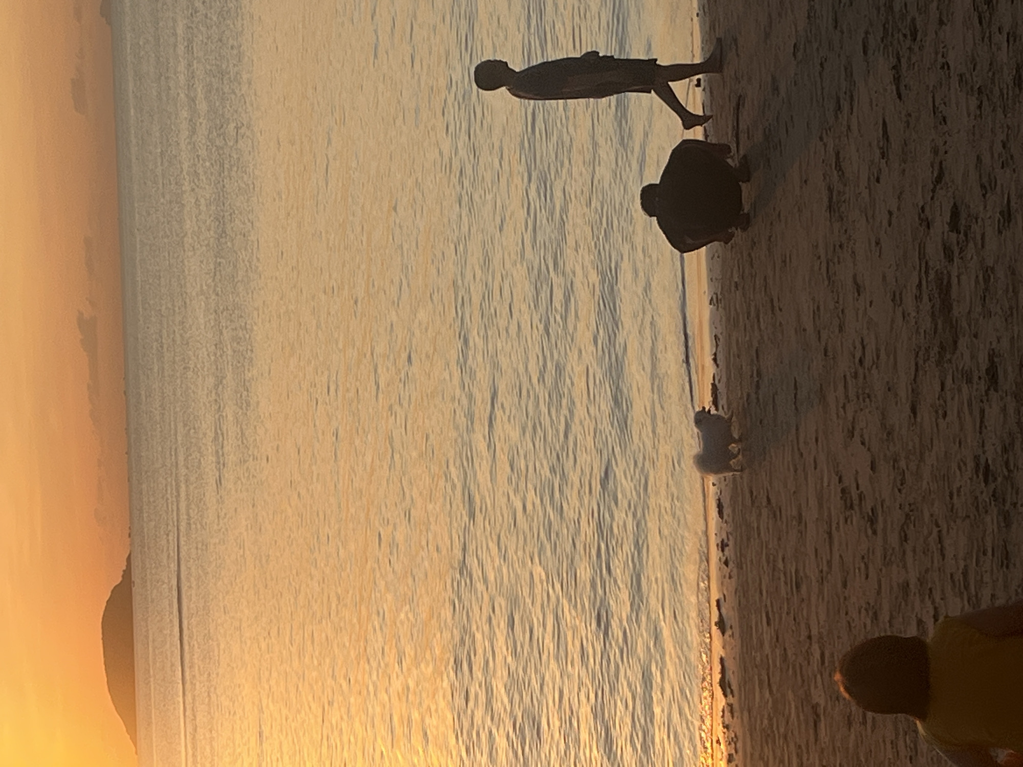 The image shows a sunset scene at the beach. The location is likely Nha Trang, Vietnam. A body of water, presumably the ocean, fills the left side of the frame, reflecting the golden light of the setting sun. Three figures are silhouetted against the scene. One appears to be standing, another kneeling or crouching, and a small white dog is standing on the shoreline. In the lower right corner of the frame, the head and shoulder of a fourth figure are visible. The right side of the image is sandy beach. The overall tone is warm and tranquil.