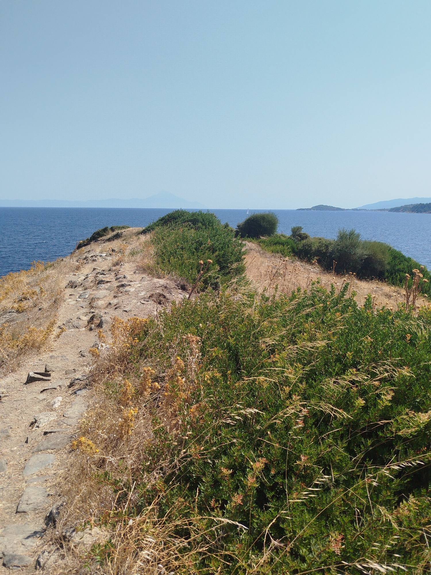 The image depicts a scenic coastal path in Sithonia Municipal Unit, Greece. The path, made of rough stones and dirt, winds along a grassy and shrub-covered ridge. The sea, a deep blue, borders the land on the left. In the distance, mountains are visible on the horizon under a clear, light blue sky. The vegetation is predominantly green shrubs with some dry, yellowed grasses and small wildflowers scattered throughout. The overall impression is one of a natural, undeveloped coastal landscape.
