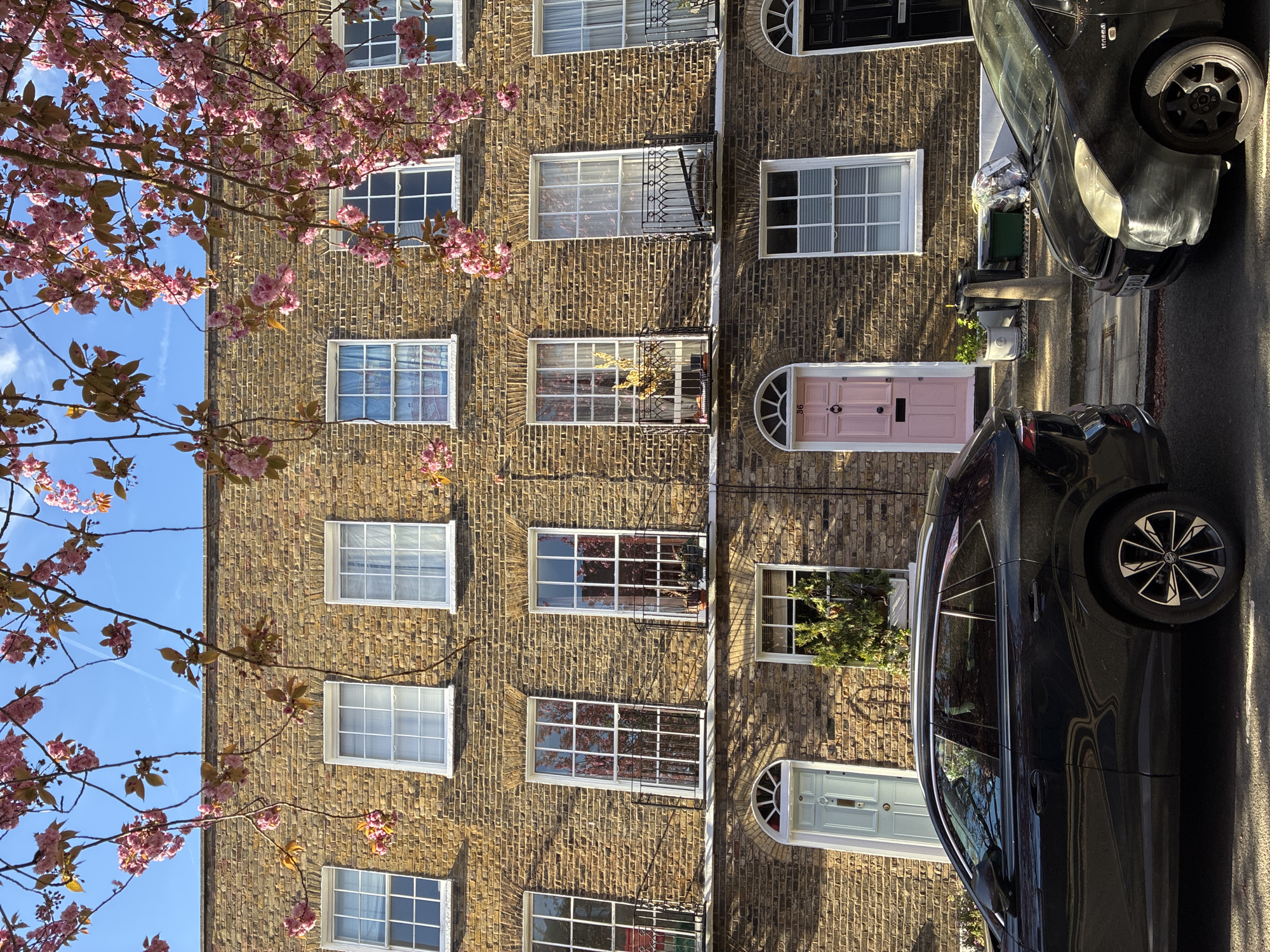 The image depicts a street scene in London, United Kingdom, characterized by a four-story brick building and parked cars. The building features numerous windows and two distinctly colored doors, one light blue and one pink. A flowering tree with pink blossoms occupies the left side of the frame. Parked cars are visible on the right, adding to the urban setting. The sky is light blue.