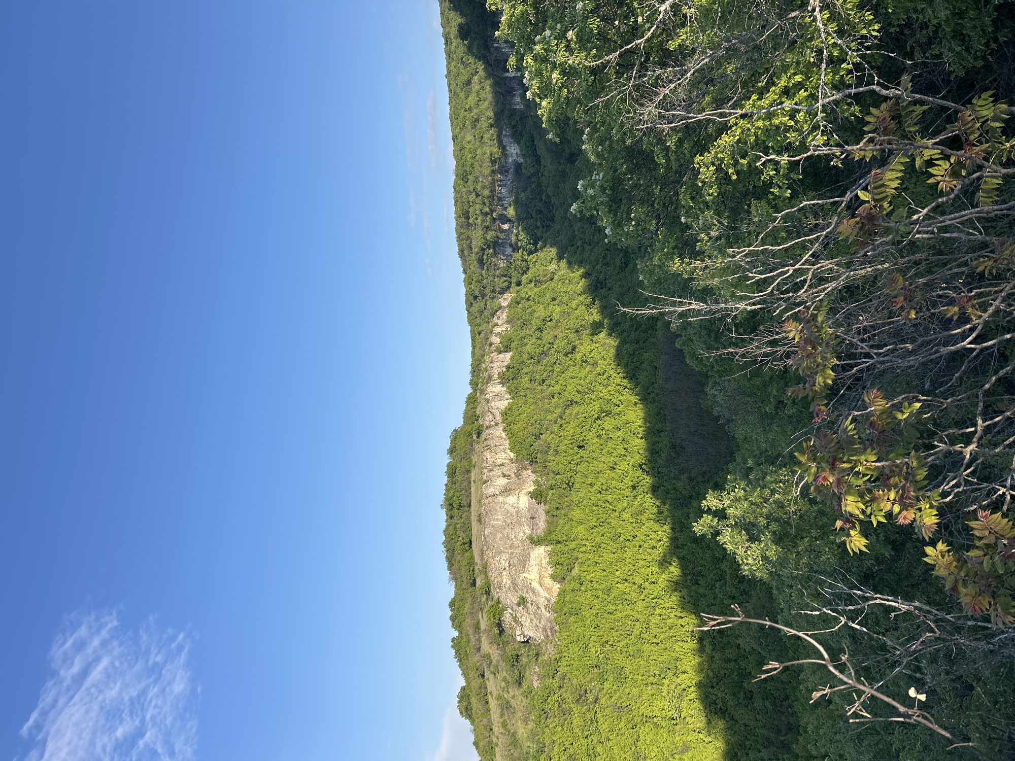 The image depicts a view in Krushuna, Bulgaria, showcasing a steep, green hillside or cliff face covered in dense vegetation. A rocky, exposed section of the cliff is visible. The sky is clear and blue, with a few wisps of clouds. Some trees and branches are visible in the foreground and to the right. Shadow covers a portion of the lower vegetation.
