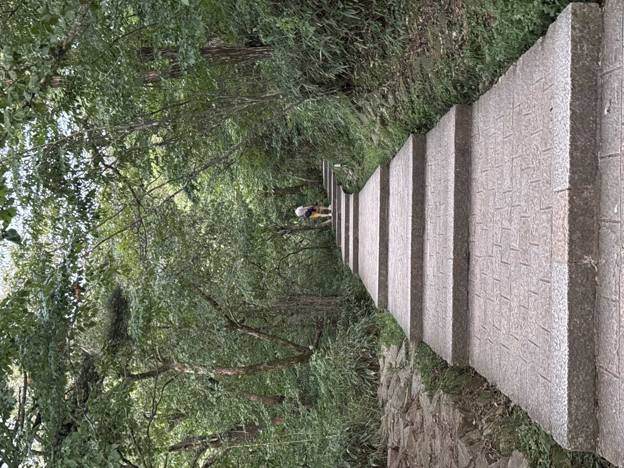 A person walks up a stone staircase through a forest in Huangshan District, China. The staircase is made of large, rectangular granite blocks laid in a brick-like pattern. The stairs ascend from the foreground, where they are widest, into a dense, green forest. Trees with thick trunks and lush foliage line both sides of the staircase, creating a natural tunnel effect. The ground to the left of the stairs is covered with rough, uneven stones and patches of grass. To the right of the stairs, the terrain slopes upwards, covered in dense vegetation, including bamboo-like plants and various grasses. The person, viewed from behind, is wearing a white t-shirt, yellow shorts, and a dark bag slung over their shoulder. They are positioned on the staircase, about midway up, walking away from the camera. The overall scene depicts a natural, outdoor setting with a man-made pathway integrated into the environment.