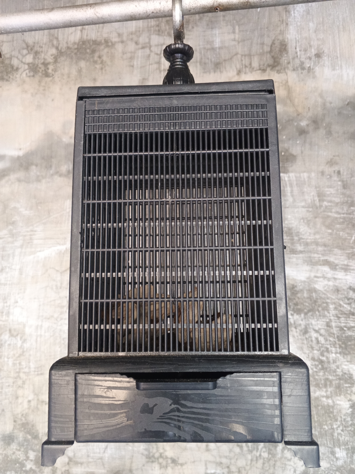 A black bird cage hangs from a metal pipe against a concrete wall in Kemangsen, Indonesia. The cage has a plastic base with a drawer and a wire mesh top. Inside the cage, the fur of a brown animal is visible.