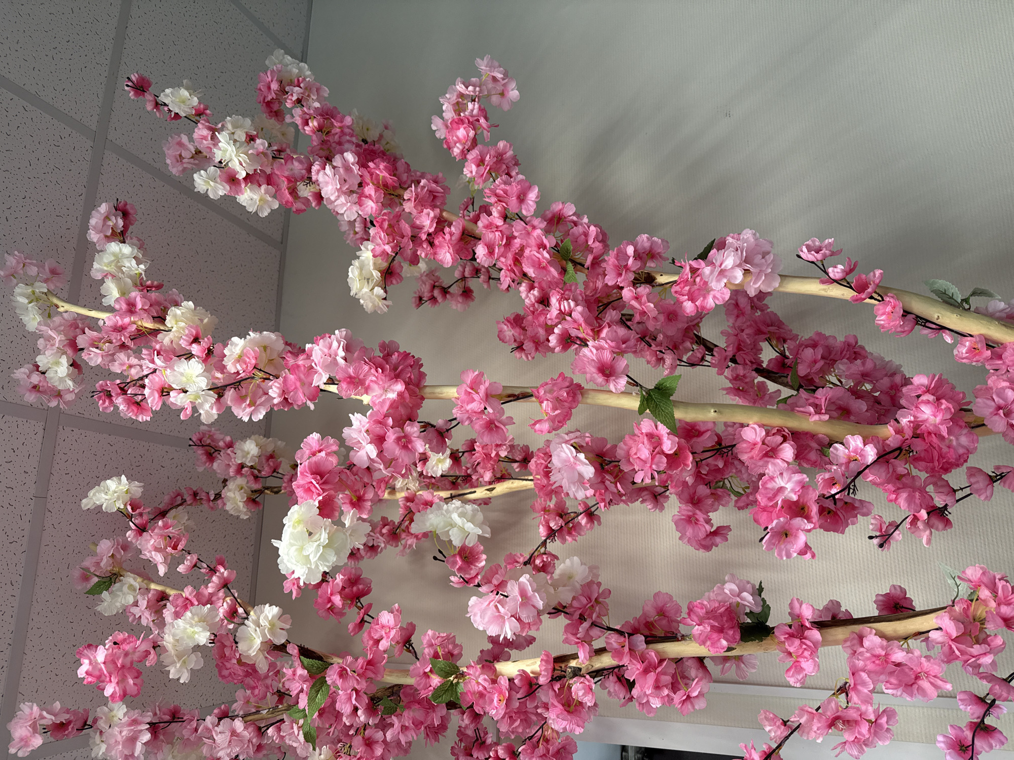 The image shows artificial cherry blossom branches, predominantly in shades of pink and white, against a plain white wall and a textured ceiling. The branches are mounted on natural-looking, light-brown wooden poles, suggesting they are part of a decorative display, possibly indoors. There are no people or animals visible. The lighting appears to be artificial, casting subtle shadows on the wall. The scene does not contain any information that would allow for its location to be identified as being in the city of Фоки, Russia.