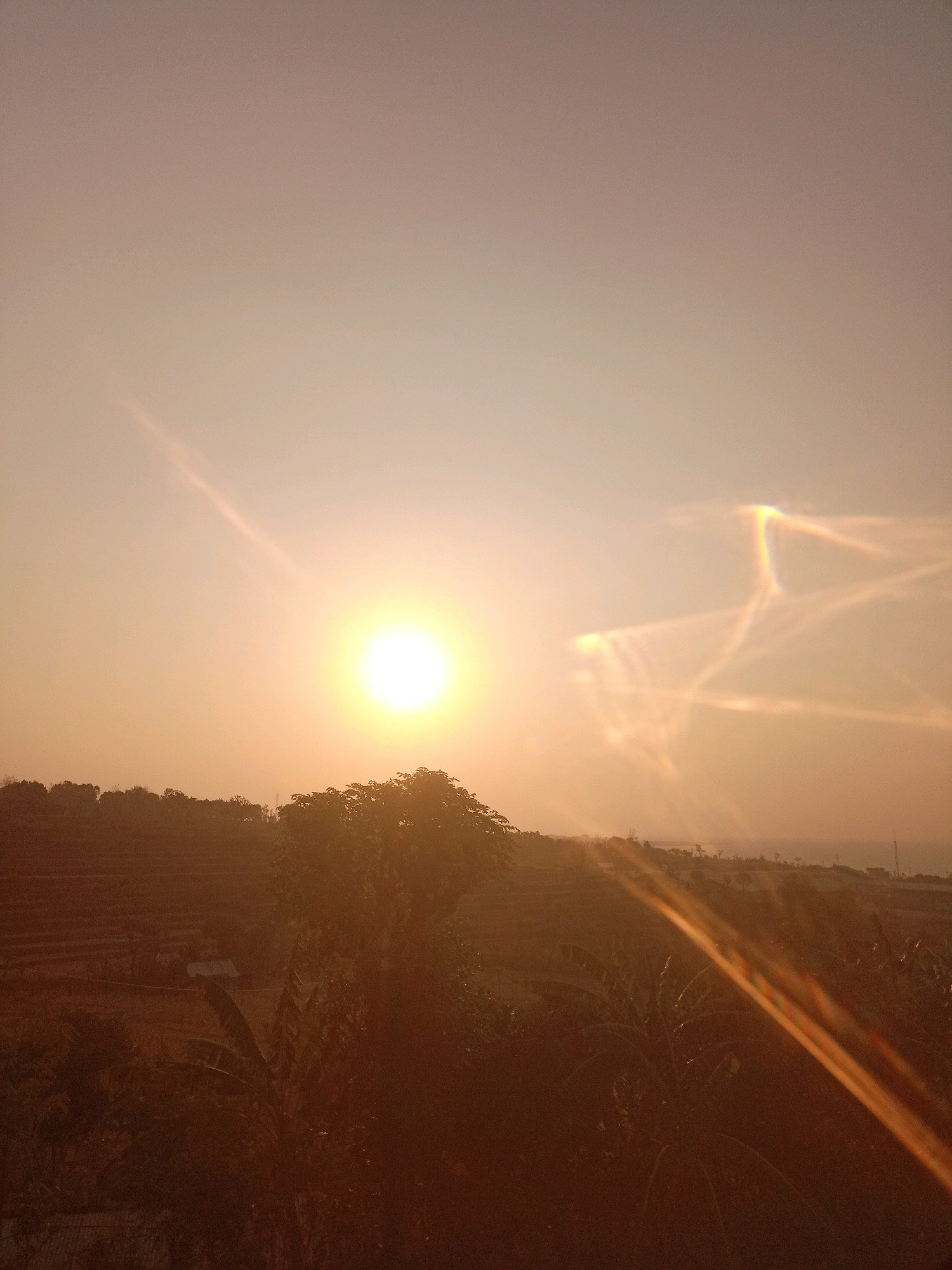 The image captures a sunset over a rural landscape, likely in the vicinity of Manggar, Indonesia. The sun, a bright, circular orb, is positioned in the upper left quadrant of the sky, casting a warm, orange glow across the scene. Sunlight streaks and lens flares are visible in the sky, creating an atmospheric effect.
The foreground is dominated by dense foliage, including what appear to be banana trees, with large, dark leaves. The terrain slopes downwards, revealing tiered agricultural fields or terraces in the mid-ground, with some small structures or buildings scattered within. The distant horizon shows a hazy outline of more vegetation and possibly a body of water. The overall impression is one of a serene, natural environment bathed in the soft light of the setting sun. No people are visible in the frame.