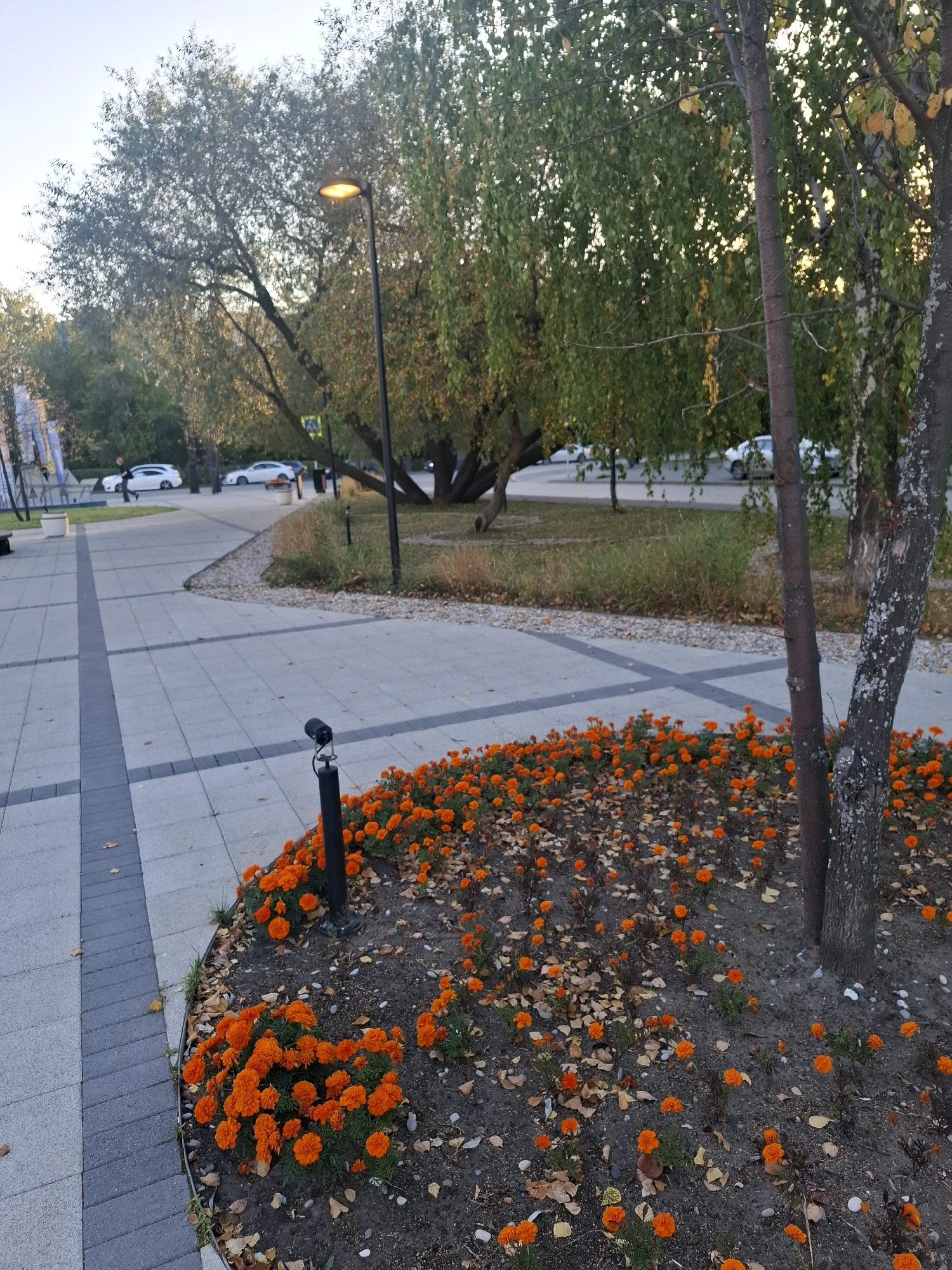 The image captures a street scene in the city of Tyumen, Russia, featuring a paved walkway with gray and darker gray square tiles. A line of small orange marigold flowers lines the edge of the walkway, extending into a garden bed. Several fallen brown leaves are scattered amongst the flowers and on the ground. A dark pole with a small light fixture is visible near the flowers. In the background, several cars, including white sedans, are parked along the street. Tall trees with green and some yellowing leaves create a canopy overhead, with a street lamp illuminating the scene. The overall atmosphere suggests an outdoor public space, possibly a park or a pedestrian area within the city.