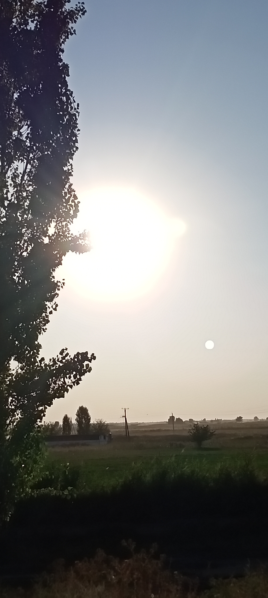 The image depicts a rural landscape with a tree in the foreground. The sun is visible in the sky, casting a bright light. In the background, there are fields, some buildings, and utility poles. The sky is a clear blue, with a slight haze near the horizon. There are no people or animals visible in the image. The overall scene suggests a peaceful, natural environment. The image does not provide any specific details to identify its location within the city of Aral, Kyrgyzstan.