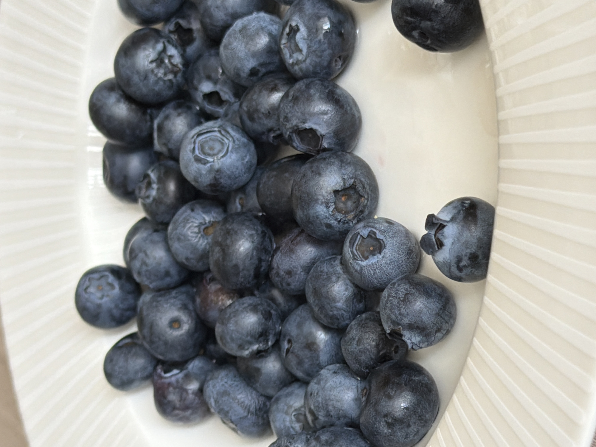 A close-up, high-angle shot depicts a collection of fresh blueberries resting in a white, shallow dish or bowl. The dish features prominent, parallel, raised ridges or ribs, particularly visible along its curved edges on the left and right sides of the frame. The blueberries, numbering several dozens, are mostly dark blue with a varying degree of powdery bloom on their surfaces, indicating freshness. Many berries clearly display the characteristic five-pointed star-shaped calyx at one end.
The fruit fills the central part of the container, appearing to have been recently placed there. There is no specific activity taking place other than the static arrangement of the blueberries. The lighting is soft and even, highlighting the texture of the berries and the ridges of the container without harsh shadows. No specific time of day or weather conditions are discernible. There are no visible cues within the image that suggest a specific location, such as Saint Petersburg, Russia, or any other. No text is visible in the image.