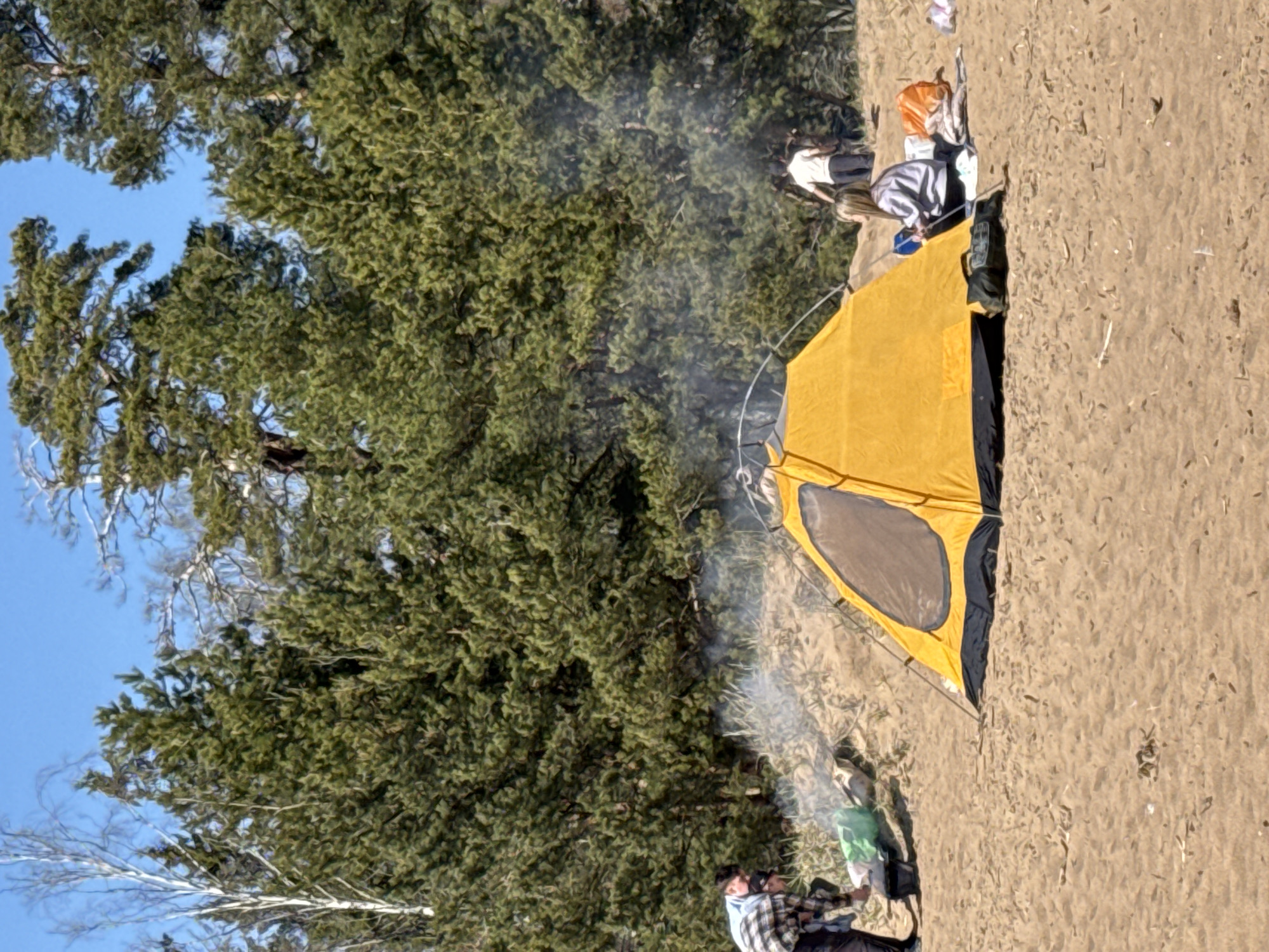 A campsite is set up in Komarovo, Russia, near a forest with predominantly coniferous trees and sparse deciduous trees in the foreground under a clear blue sky. A yellow and black tent stands pitched on sandy soil. Smoke rises nearby, emanating from a person tending to a small fire; the person is wearing a plaid shirt and dark pants. Clothes and camping gear are spread out next to the tent, with a few people nearby. The ground is sparsely covered with vegetation and is mostly sandy in appearance.
