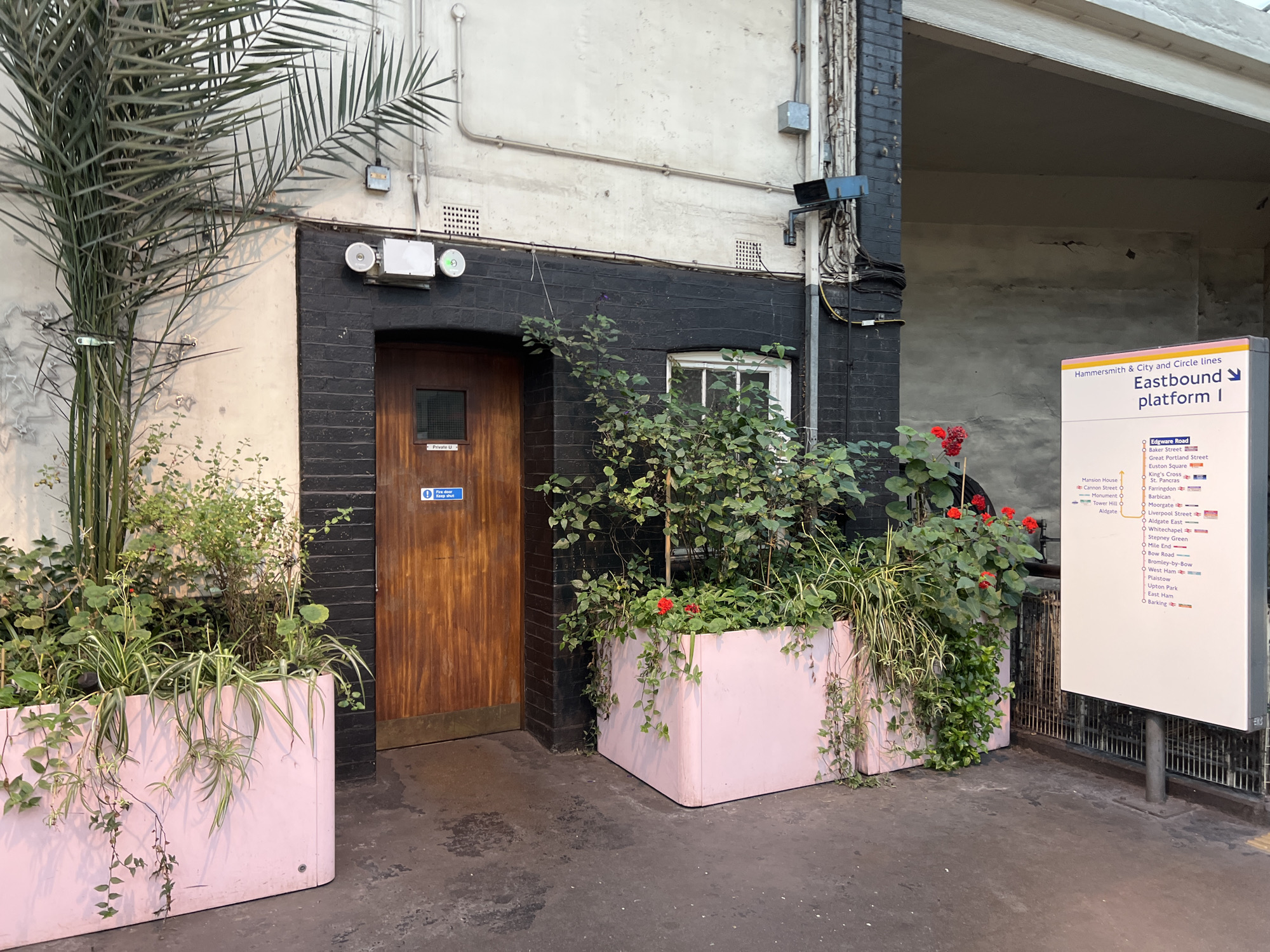 In an outdoor urban setting, a wooden door with a small window and a "Fire door keep shut" sign is set into a black brick wall. To the left of the door, a large planter filled with various green plants, including a palm tree, is positioned in front of the wall. To the right of the door, another planter contains lush green foliage and red flowers. Adjacent to the planters and the wall, a white sign with black text displays a transit map for the Hammersmith & City and Circle lines, indicating "Eastbound platform 1". The ground is paved with asphalt. The background shows a concrete structure and electrical conduits. No people are visible in the image.