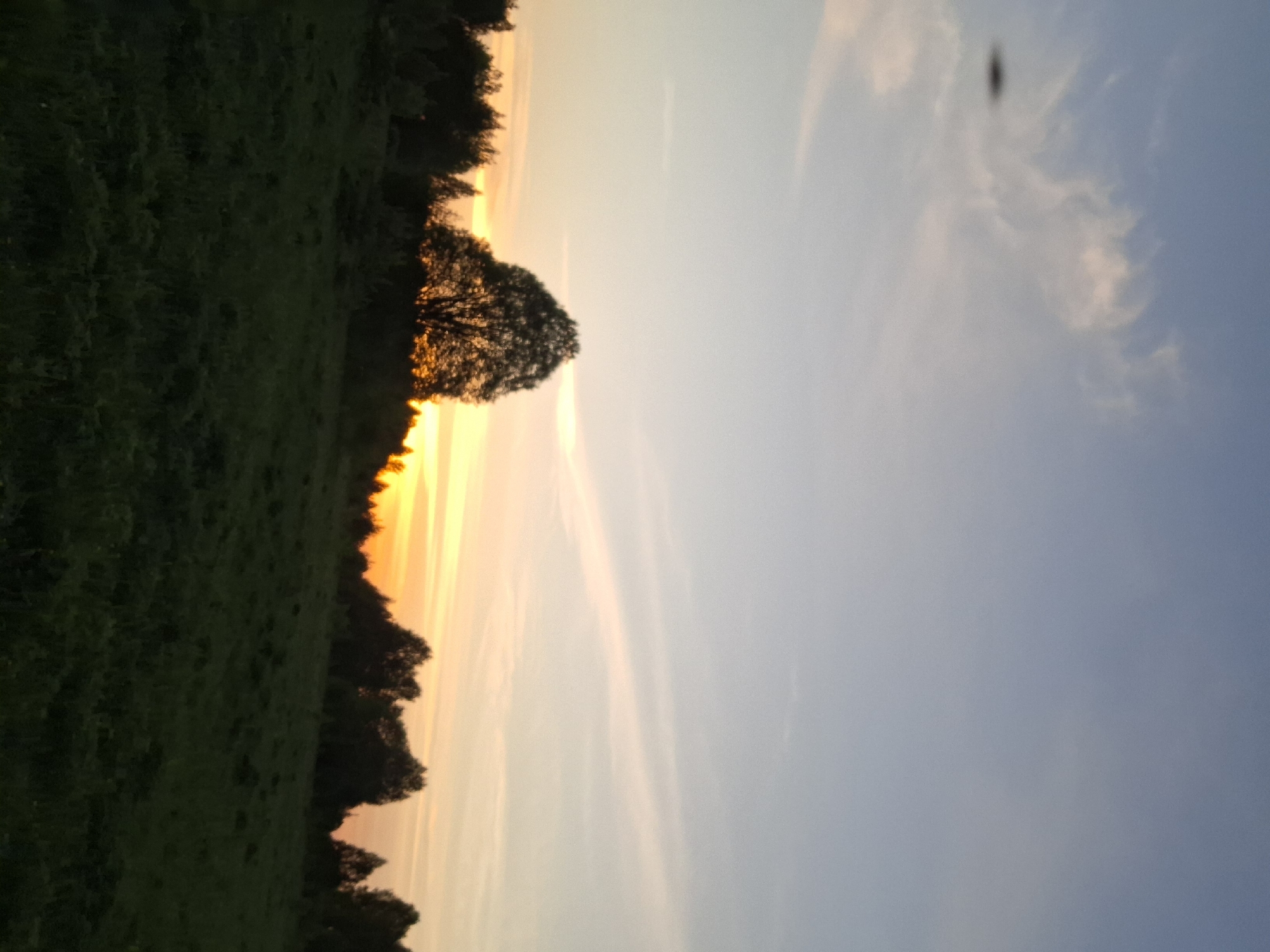 The image depicts a sunset over a field in Шешурга, Russia. The sky transitions from a light blue to a vibrant orange at the horizon. A silhouetted tree stands prominently in the middle ground, with a dark green field stretching along the left side of the image. The horizon glows brightly, silhouetting the trees lining the field. The clouds are streaked with pink and orange hues, adding to the sunset's beauty. A small dark object is visible in the upper right quadrant of the sky.