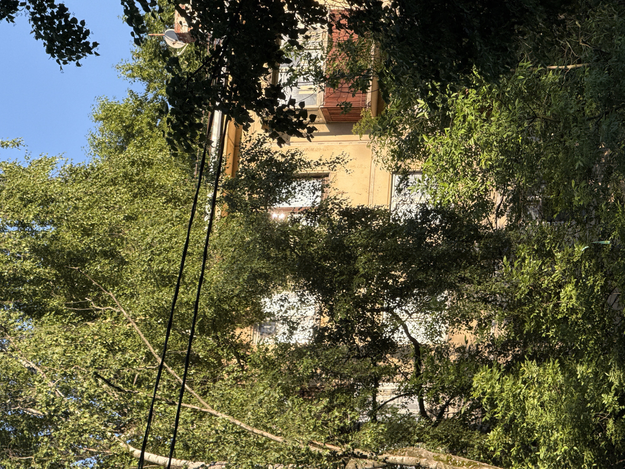 The image shows a building facade, partially obscured by trees and foliage, under a clear blue sky. The building is painted a light yellow and has several windows, some with white frames and others with dark frames. A small, reddish-brown balcony with a railing is visible on the right side of the building. Overhead, power lines are strung across the frame. The trees in the foreground and middle ground are lush and green, with dappled sunlight filtering through their leaves. The scene appears to be a residential area, possibly an apartment building, in a city. Based on the architectural style and the presence of overhead power lines, this image could be from a neighborhood in Moscow, Russia. No people are visible in the image.