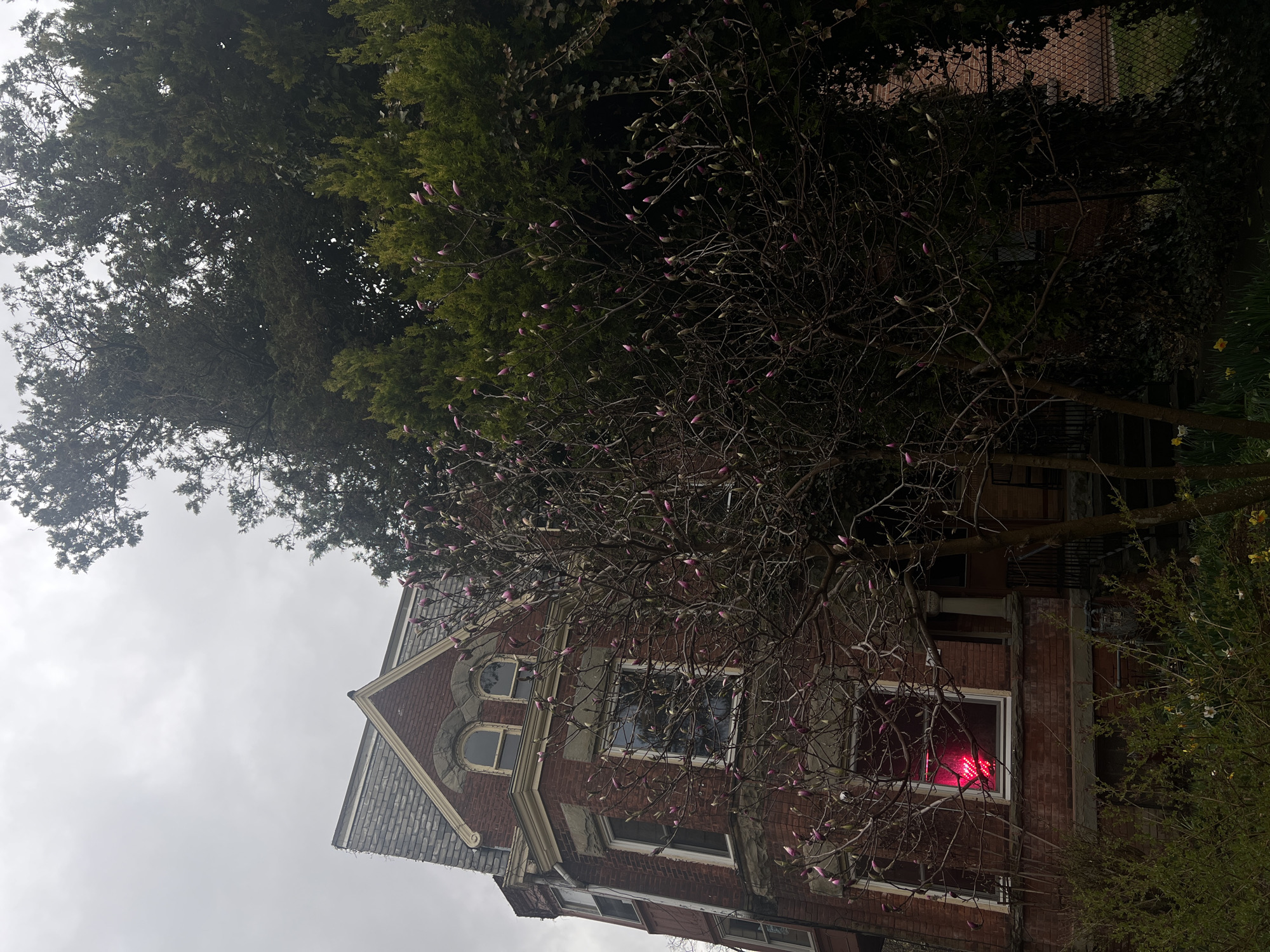 The image shows a residential scene with a brick building, likely a house, partially obscured by trees. The building has a gabled roof with gray shingles, and its facade features multiple windows, one of which is brightly lit with a red glow. The tree in the foreground is in bloom, with pink flower buds visible. The overall environment appears to be urban, with other buildings and greenery in the background. The sky is overcast, suggesting a cloudy day. The image is taken at an angle, with the building appearing tilted. Without additional information, it is impossible to confirm the location specifically within Newburgh, United States of America.