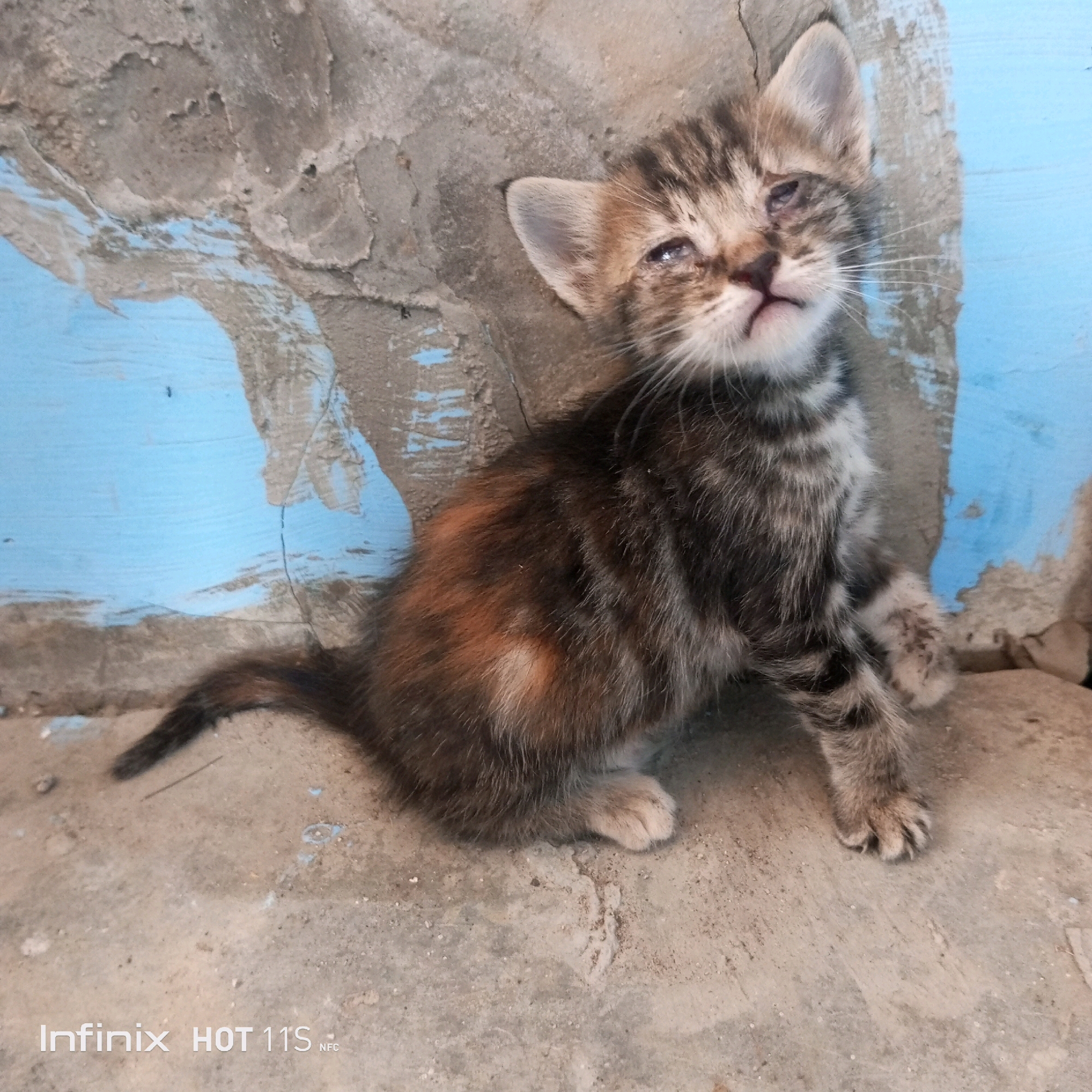 A kitten with a tabby and calico coat is sitting on a concrete surface in front of a textured blue and grey wall. The kitten is looking upwards and to the right. Its left eye appears swollen or irritated. The background wall is peeling and shows signs of age and wear. The concrete surface is rough and dusty, with some small debris scattered around. The image was taken in Sukaslamet, Indonesia.