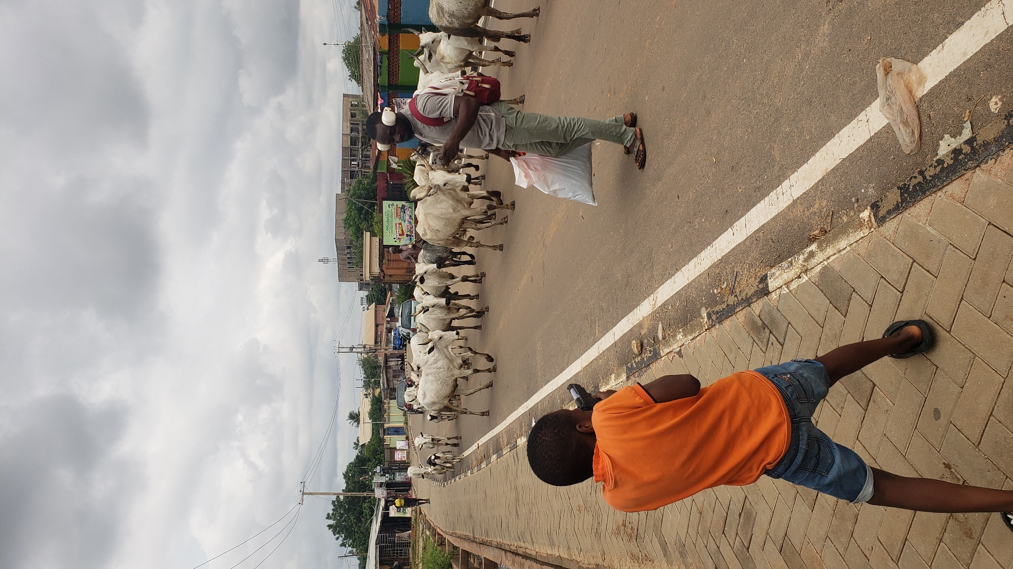 In Narayi, Nigeria, a herd of white cattle walks down the center of a paved road, causing traffic to slow. A boy in an orange shirt and denim shorts stands on the sidewalk, holding a camera to his eye as he photographs the animals. Beside him, a man with headphones and a backpack is looking at his phone. The sky is overcast with clouds. The road is lined with buildings and trees, and power lines are visible overhead. The sidewalk is made of brick pavers.