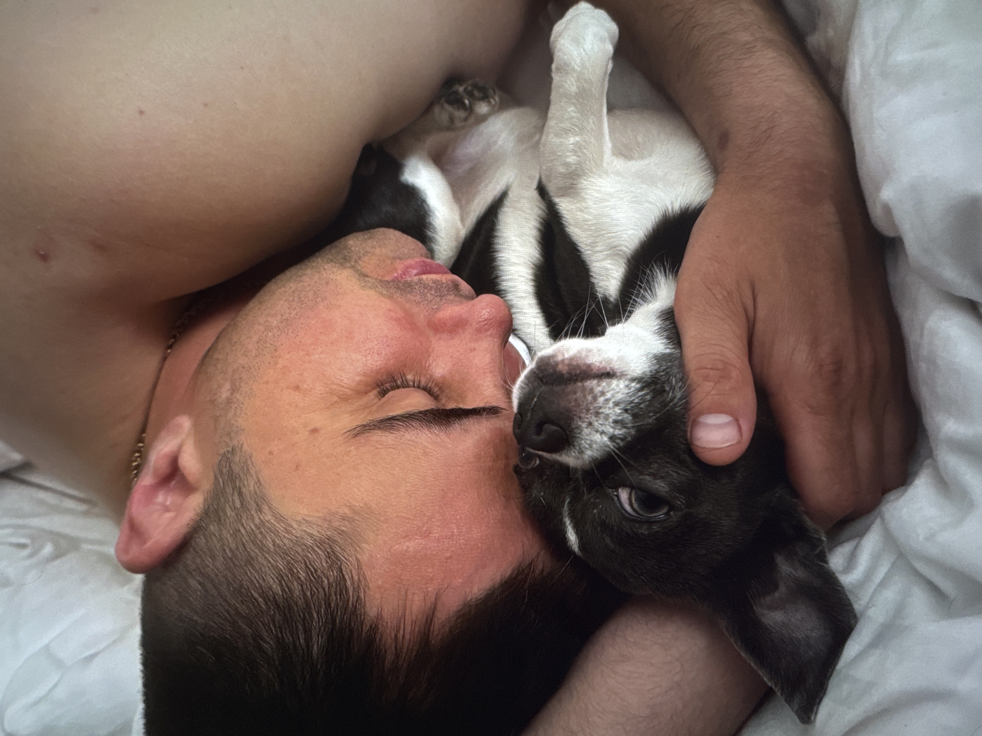 A shirtless man is lying on his back in a bed covered with white sheets, cuddling a small black and white dog. The man's eyes are closed and his face is close to the dog's. His arm is wrapped around the dog. The location is not discernible from the image.